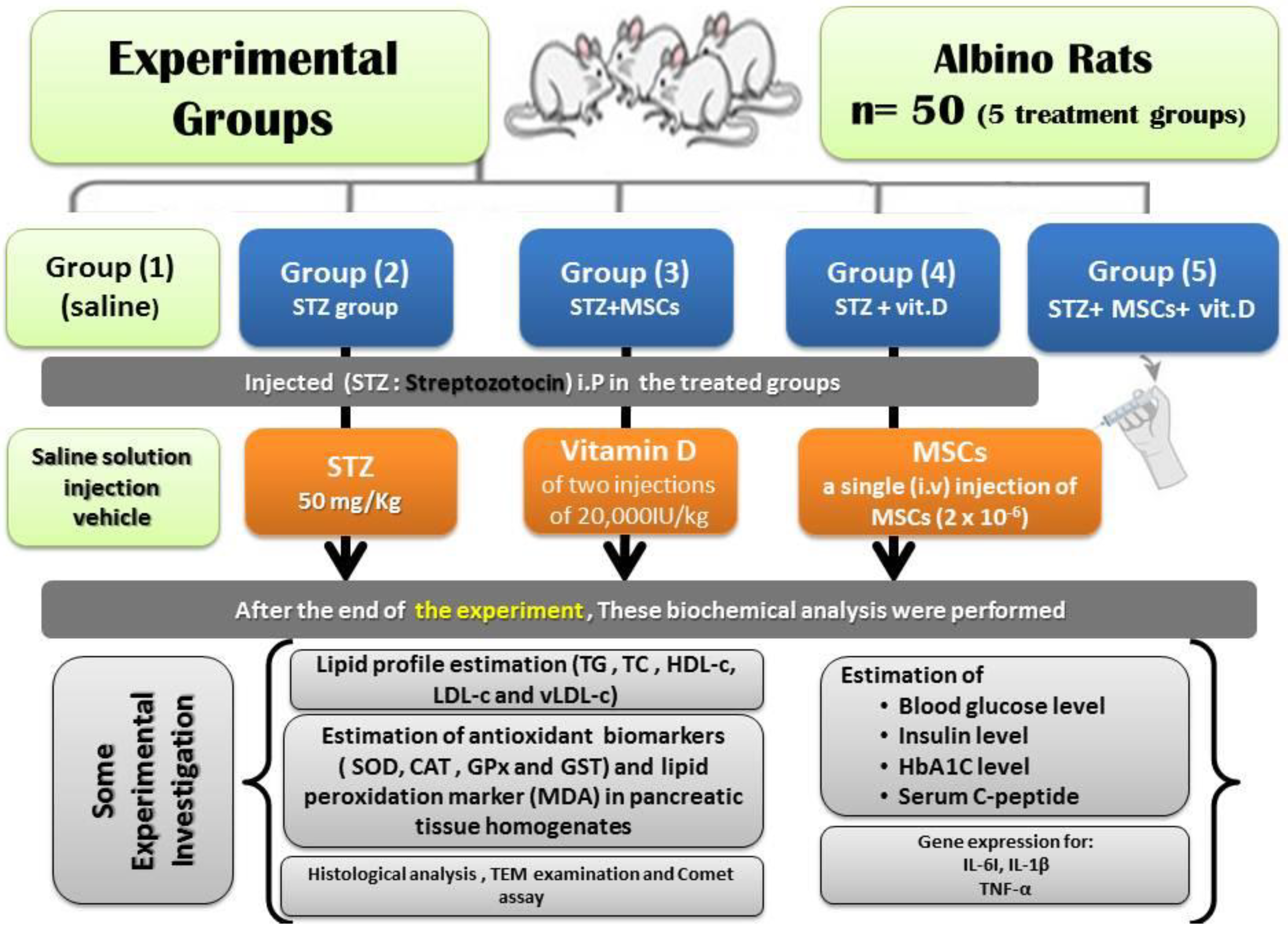 Coatings 11 00317 g001