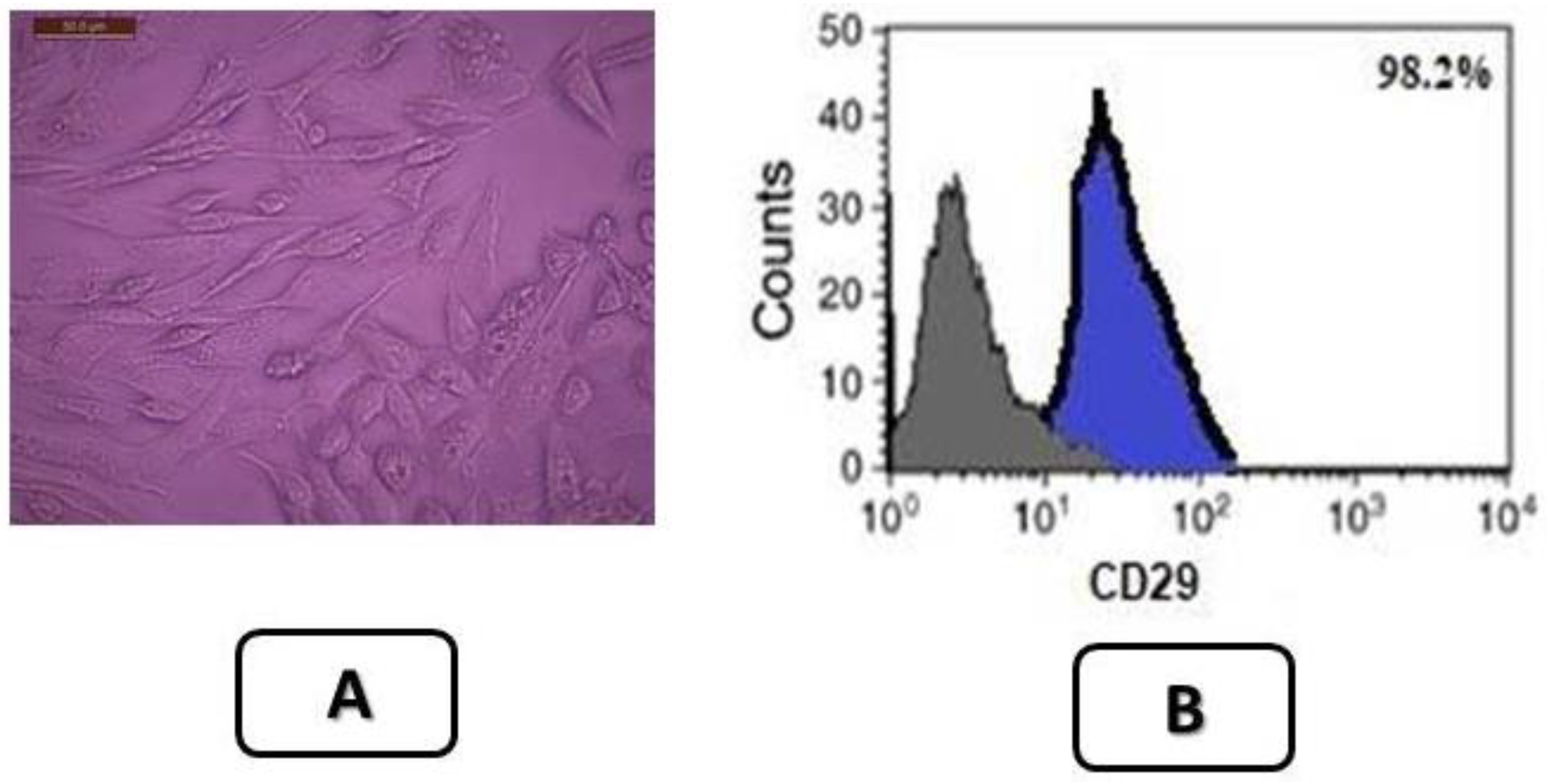 Coatings 11 00317 g002