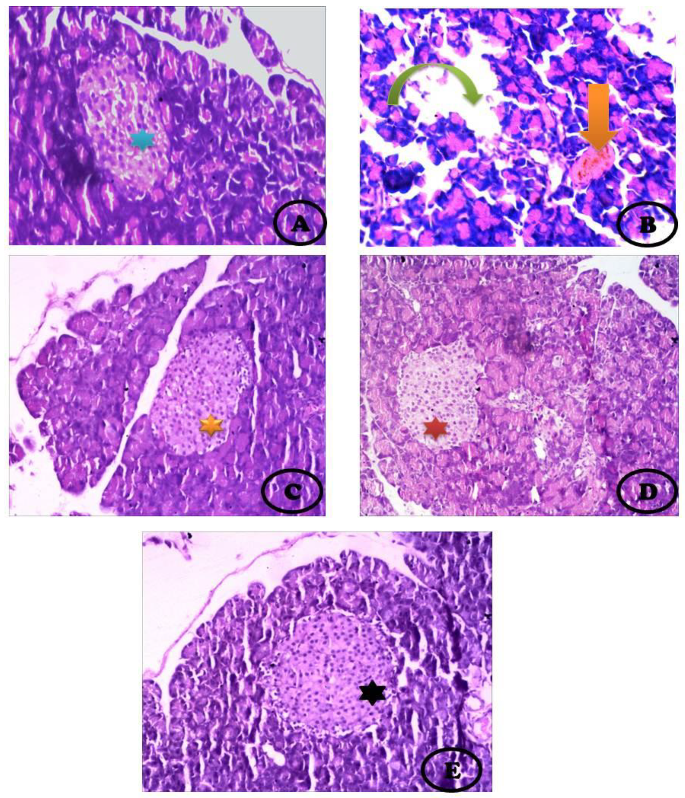 Coatings 11 00317 g004
