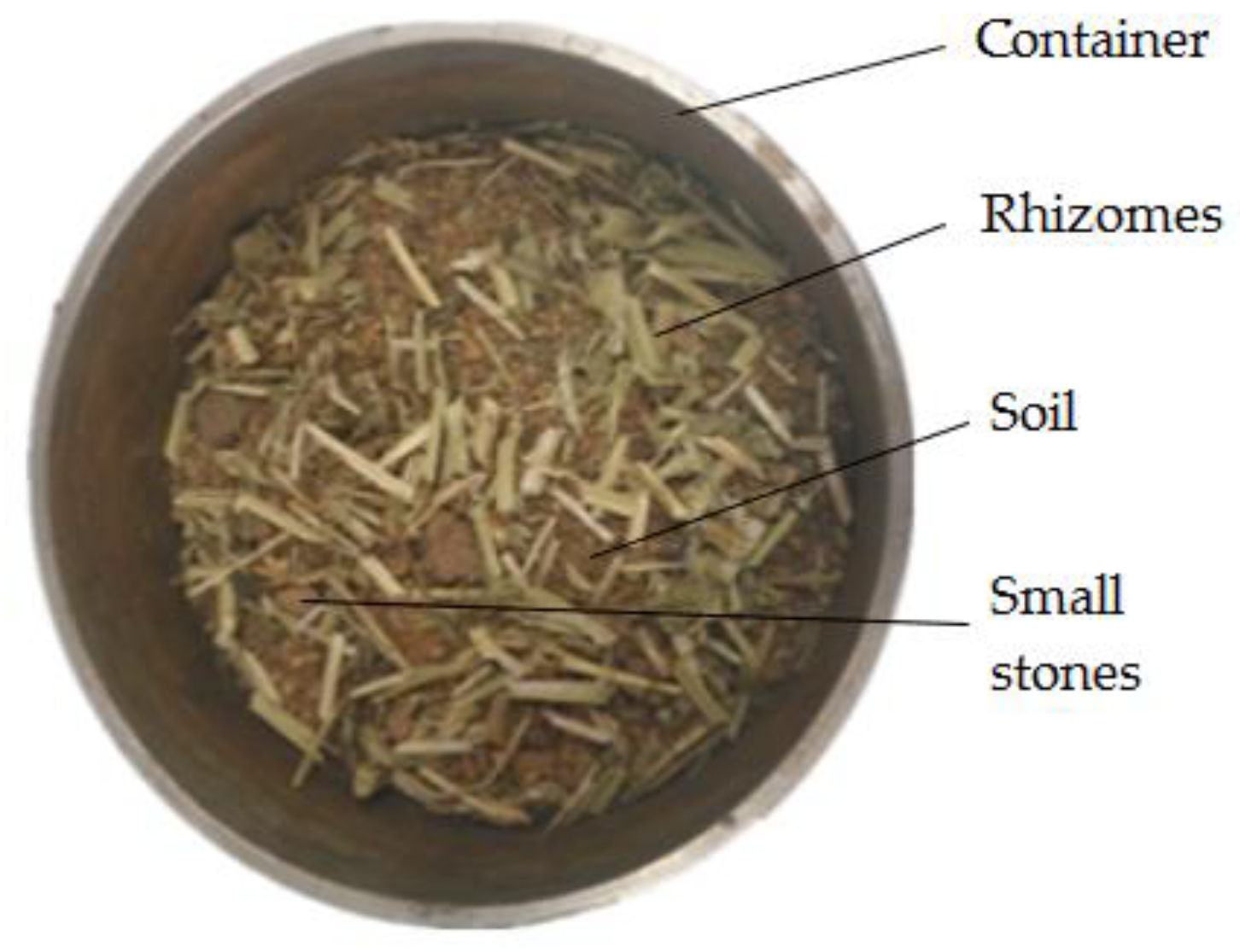 Coatings 11 00319 g002 Coatings 11 00319 g002