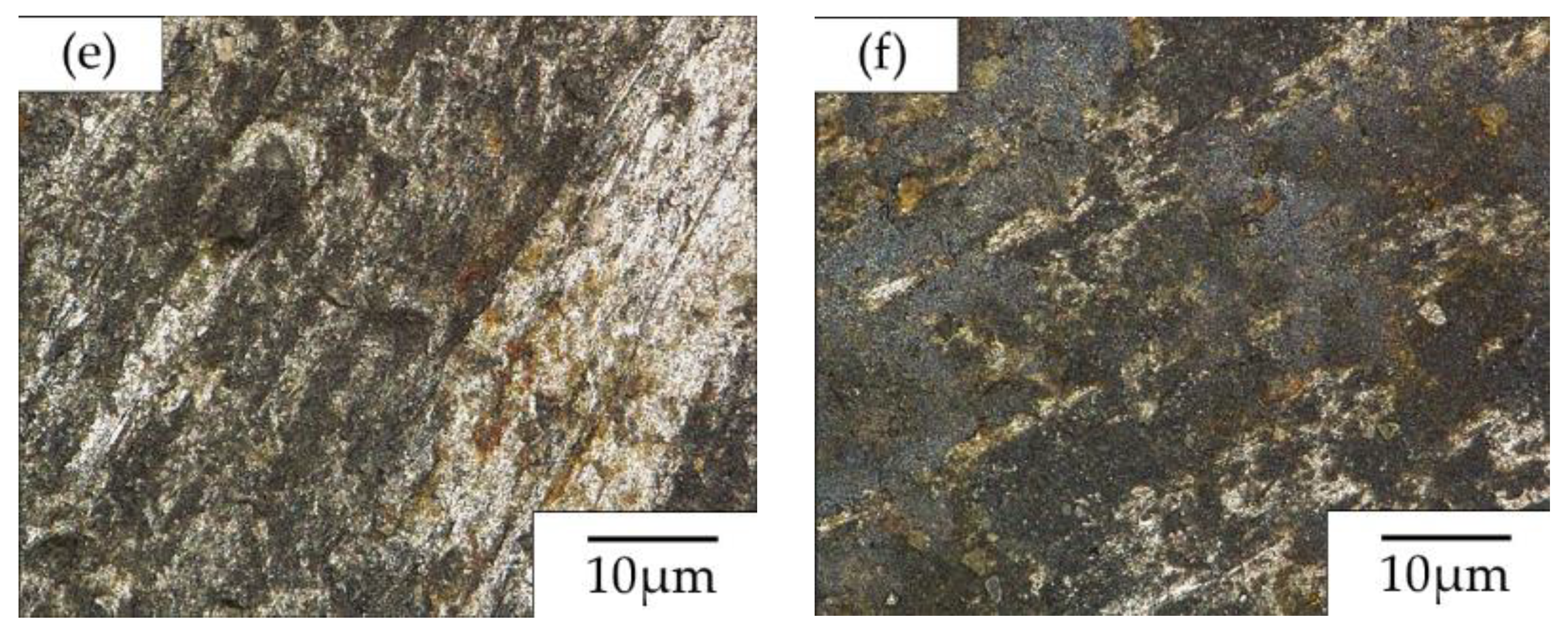 Coatings 11 00319 g007b Coatings 11 00319 g007b