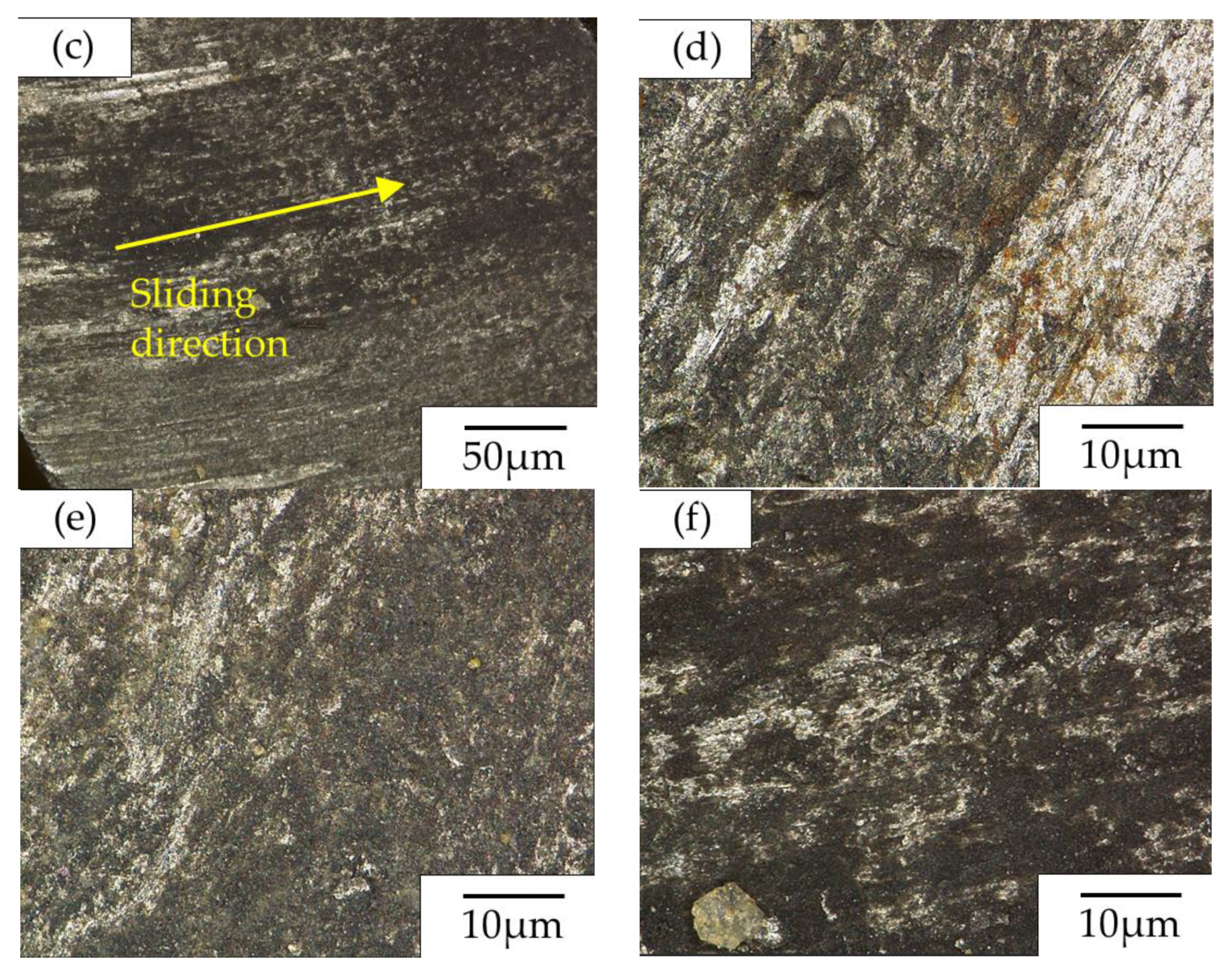 Coatings 11 00319 g008b Coatings 11 00319 g008b