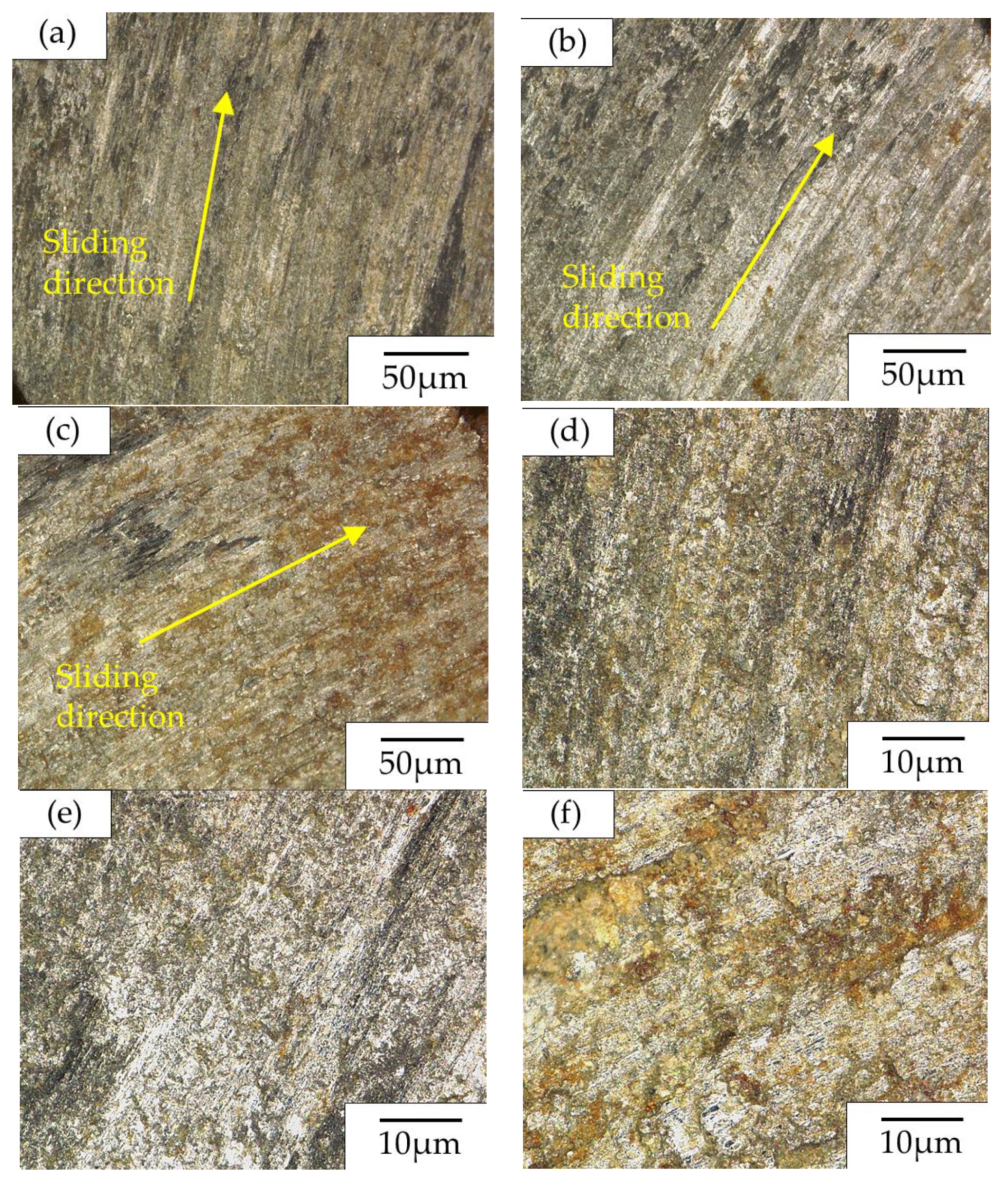Coatings 11 00319 g009 Coatings 11 00319 g009