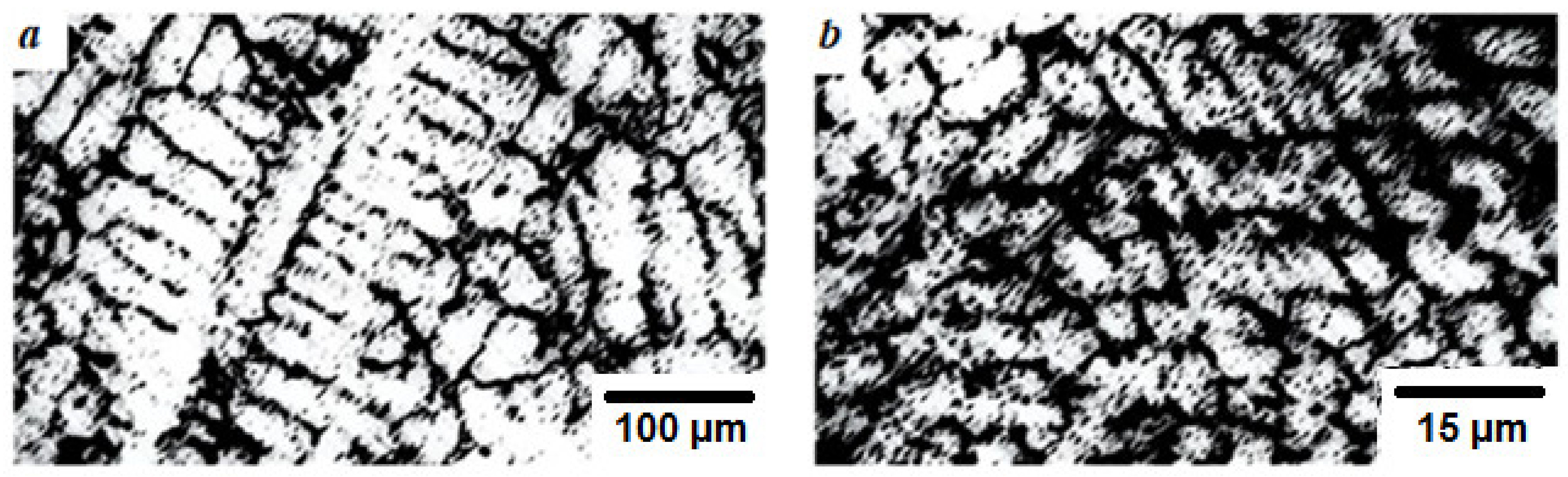 Coatings 11 00321 g003 550