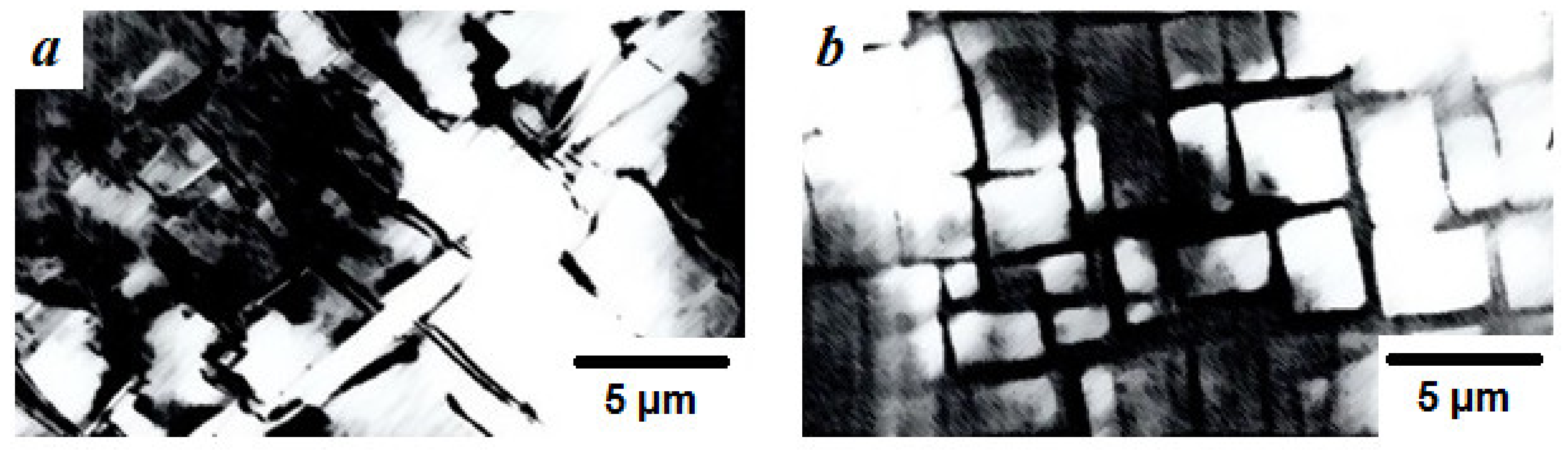 Coatings 11 00321 g005 550