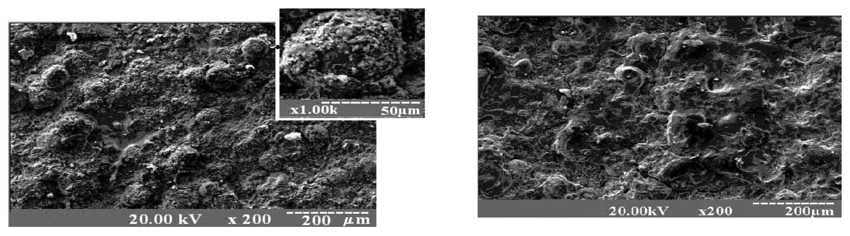 Coatings 11 00321 g006 550