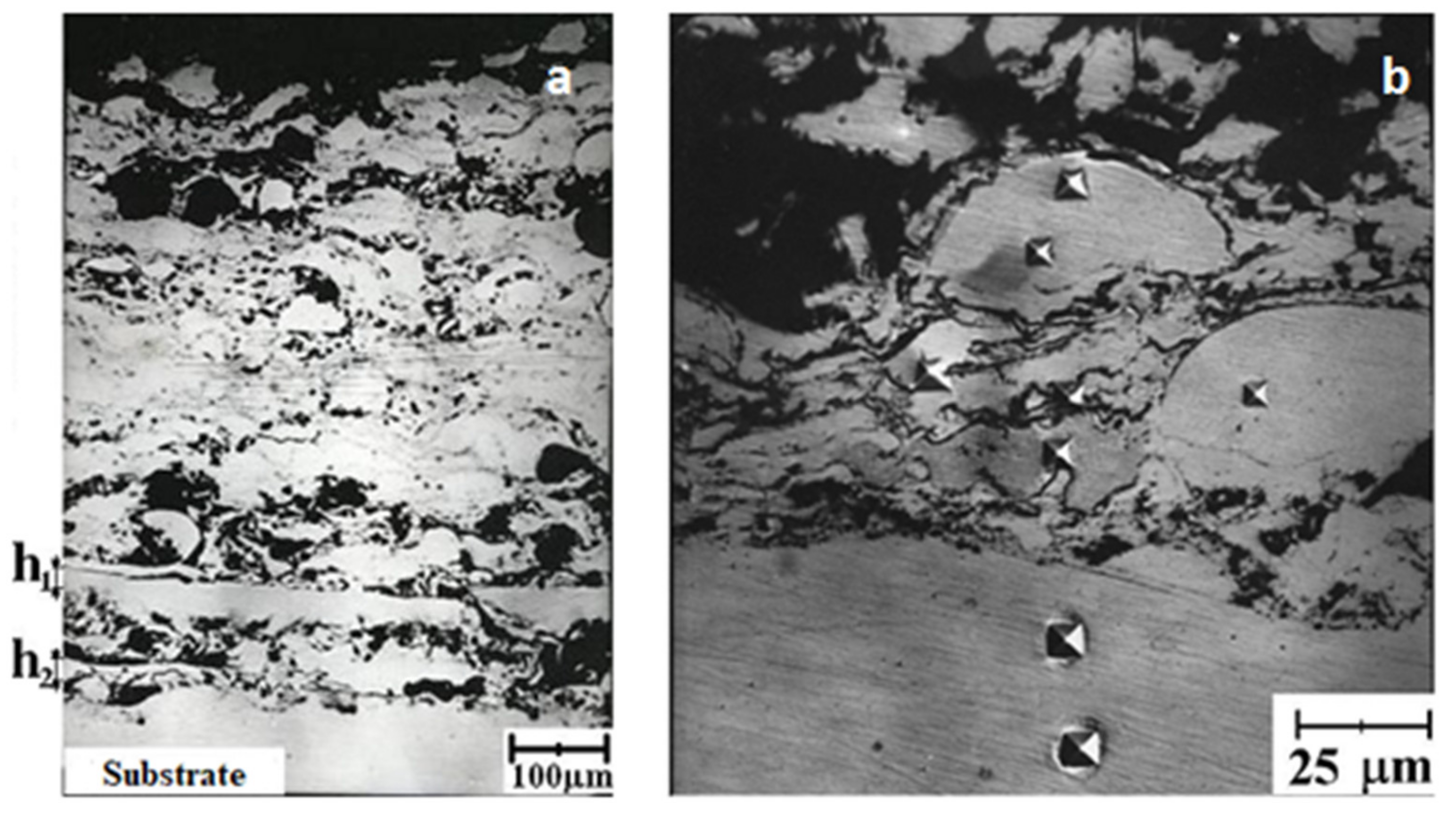 Coatings 11 00321 g007 550