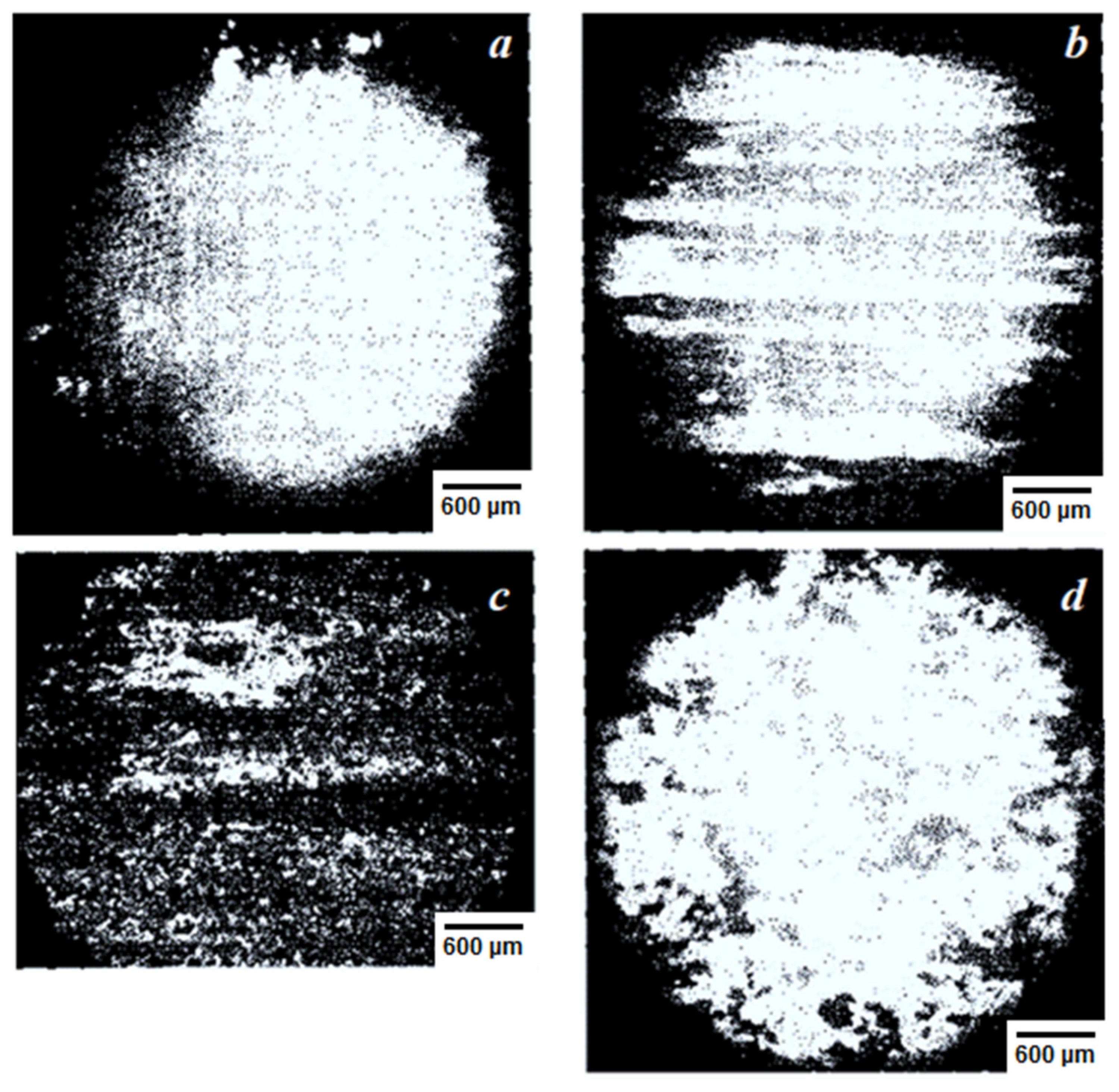 Coatings 11 00321 g012 550