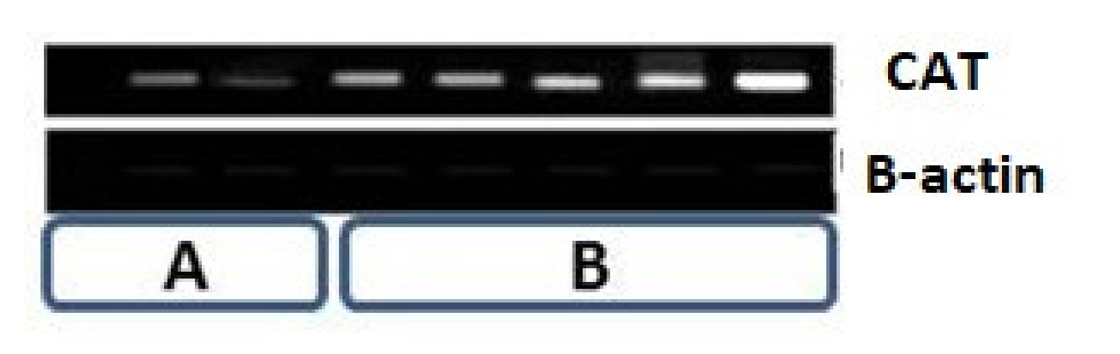 Coatings 11 00324 g012 Coatings 11 00324 g012