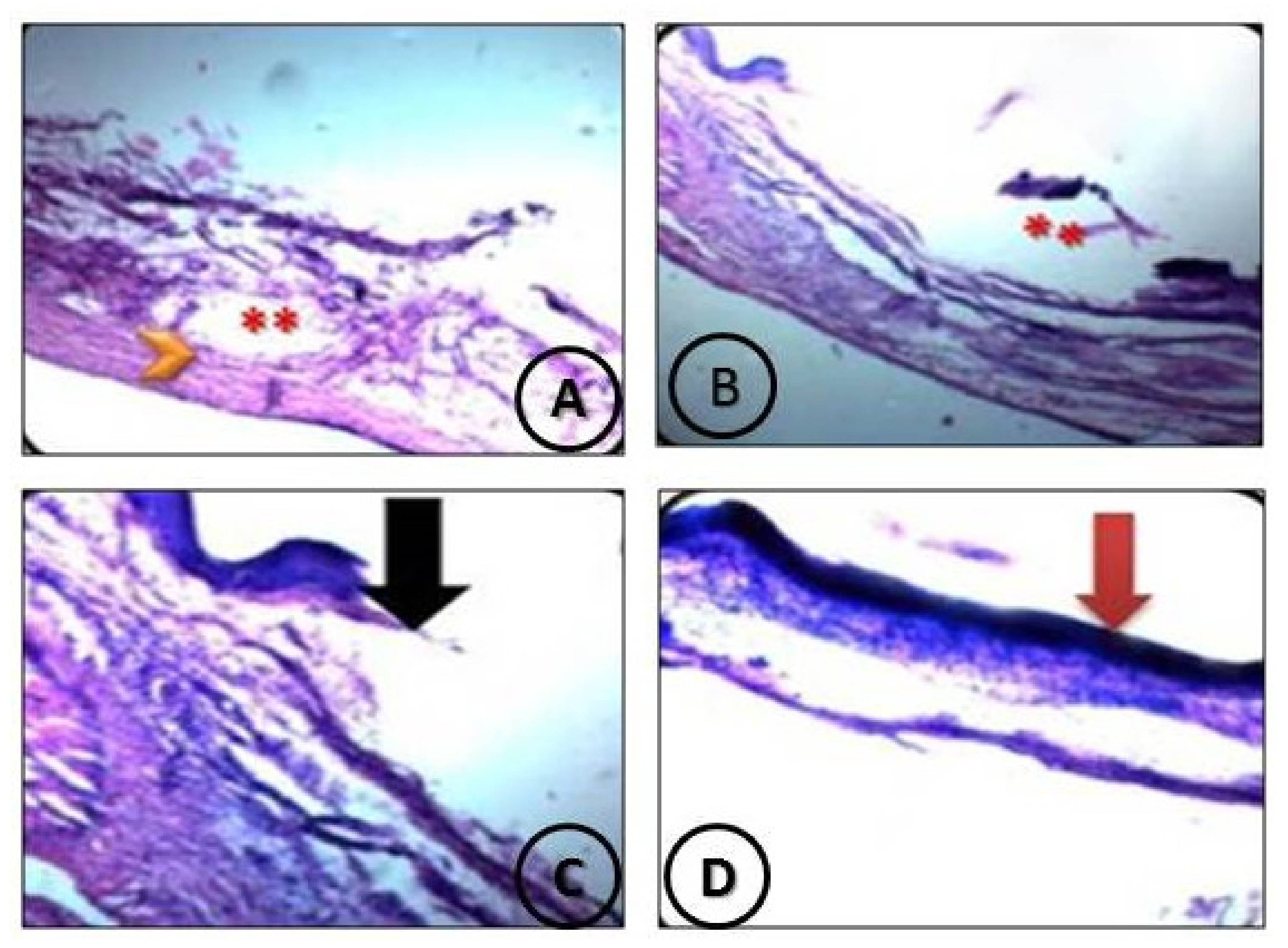 Coatings 11 00324 g013 Coatings 11 00324 g013