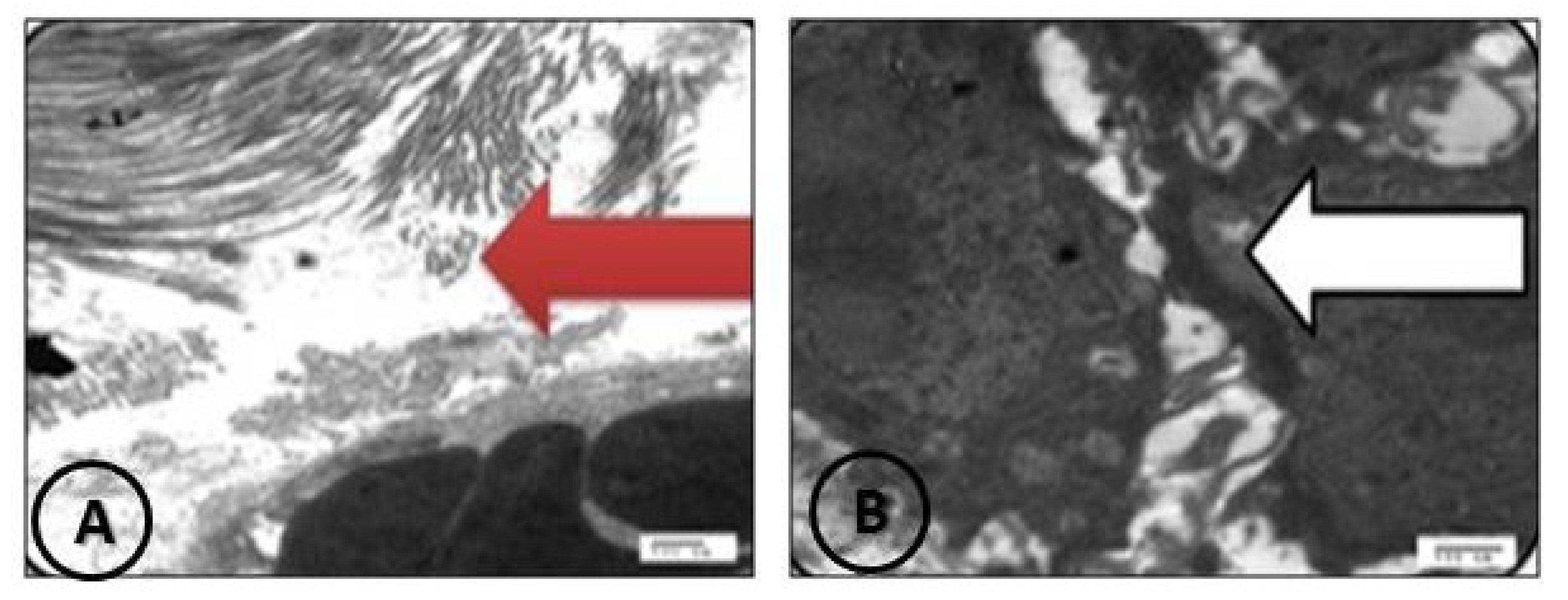 Coatings 11 00324 g014 Coatings 11 00324 g014