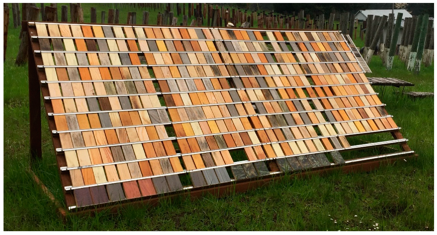 Coatings 11 00325 g001