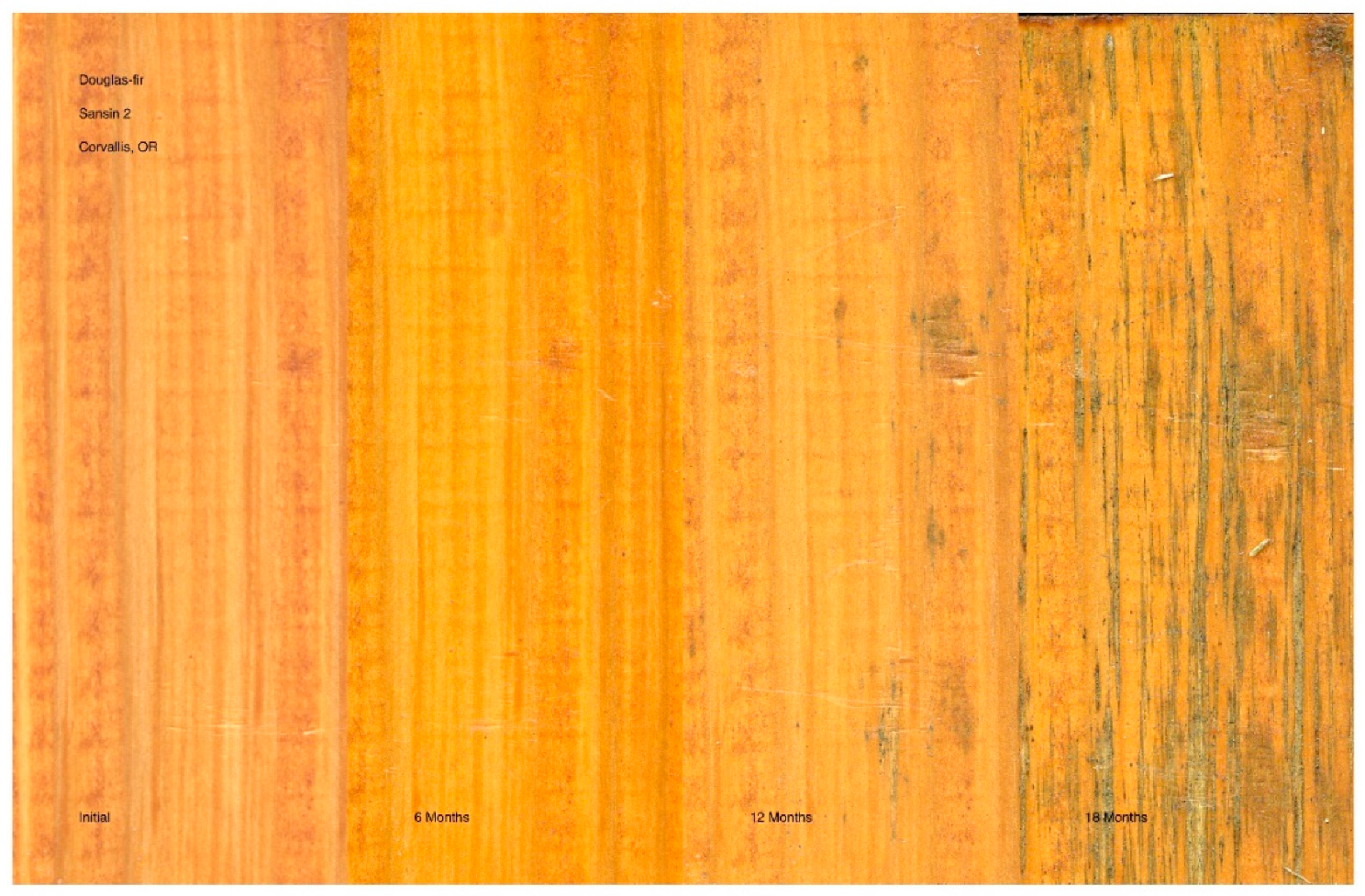 Coatings 11 00325 g006