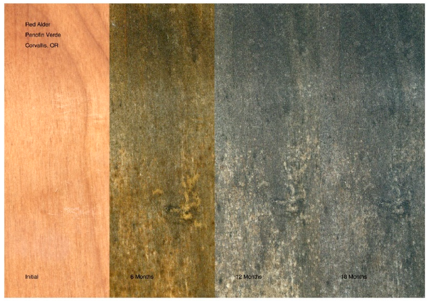 Coatings 11 00325 g013