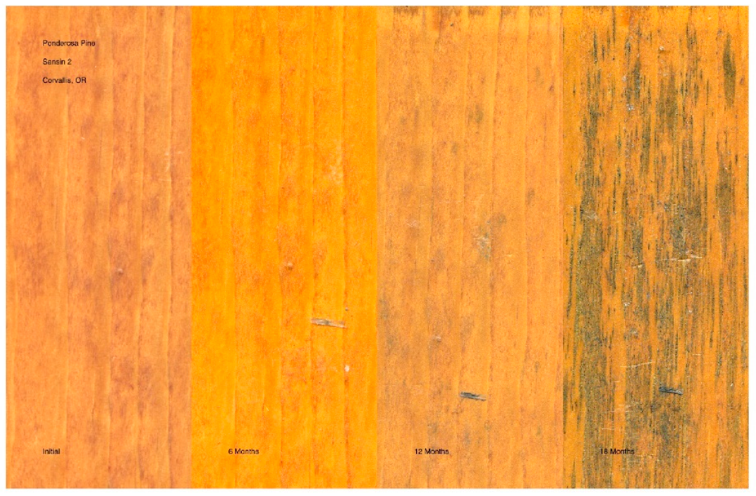 Coatings 11 00325 g022