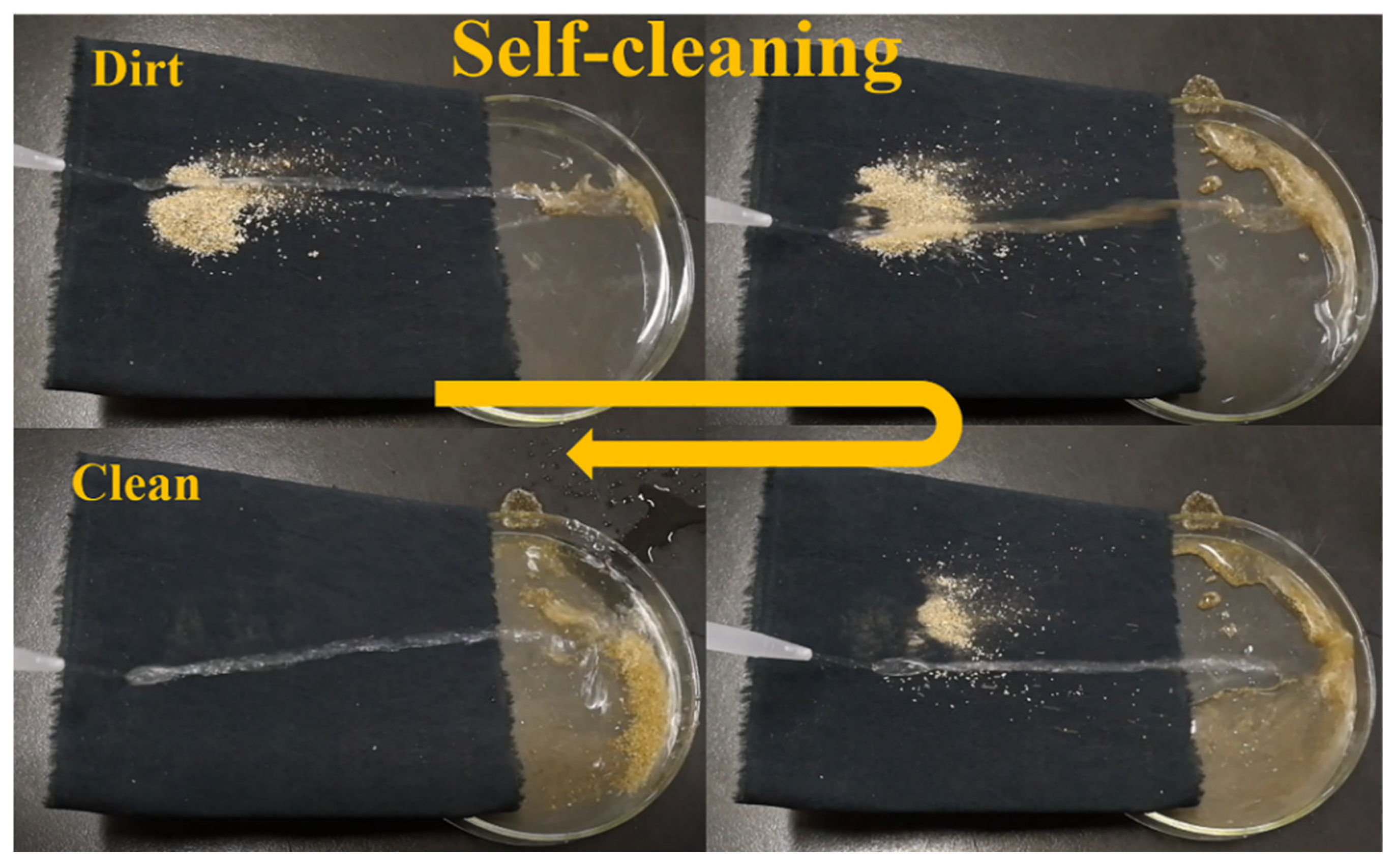 Coatings 11 00326 g005