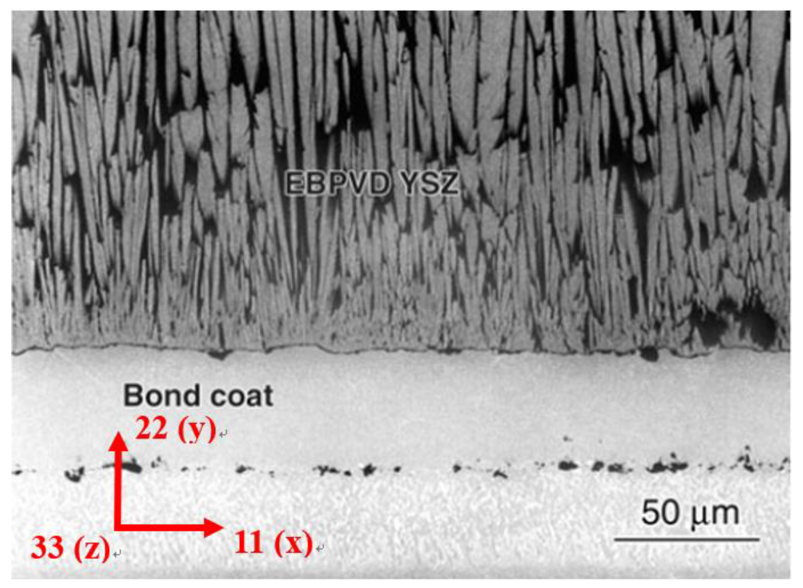 Coatings 11 00341 g002