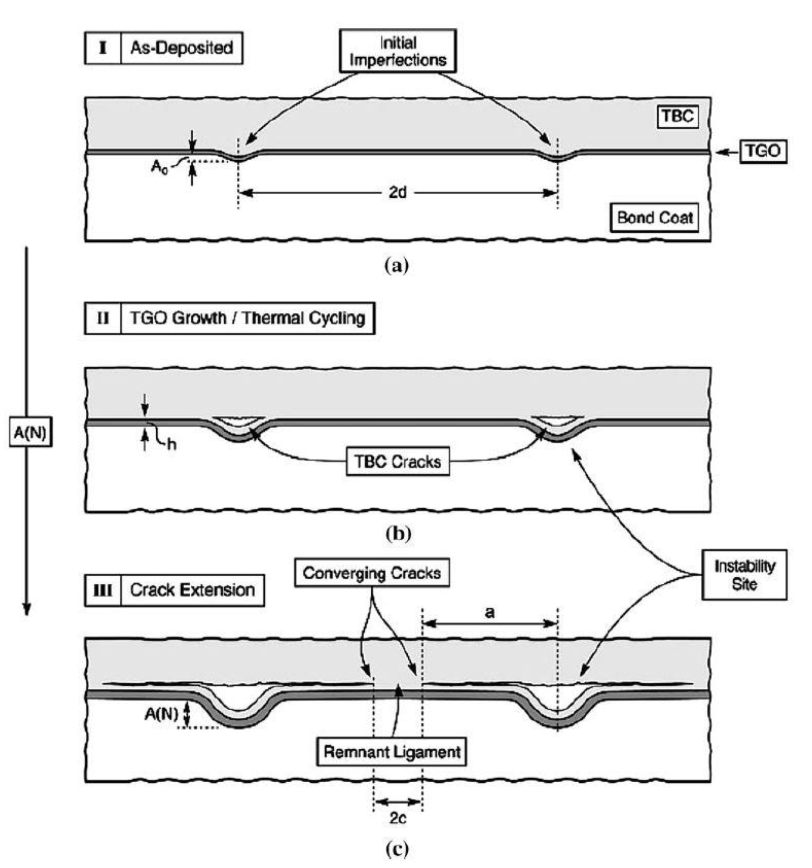 Coatings 11 00341 g038