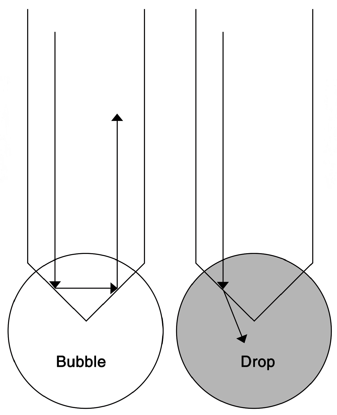 Coatings 11 00343 g002 550