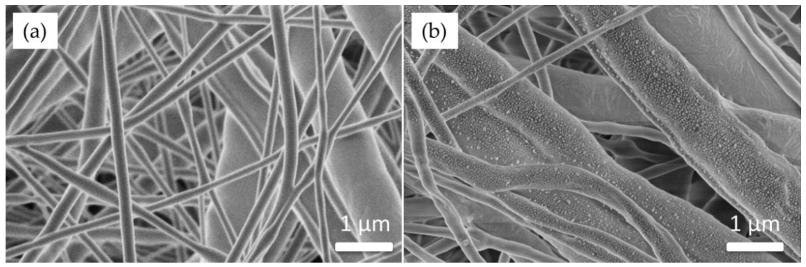 Coatings 11 00345 g003