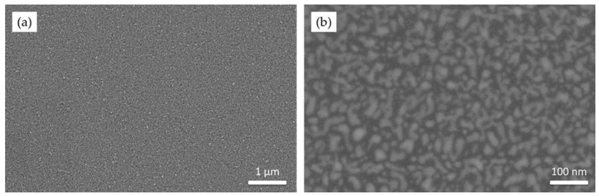 Coatings 11 00345 g005