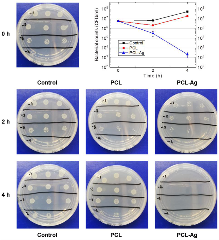Coatings 11 00345 g007