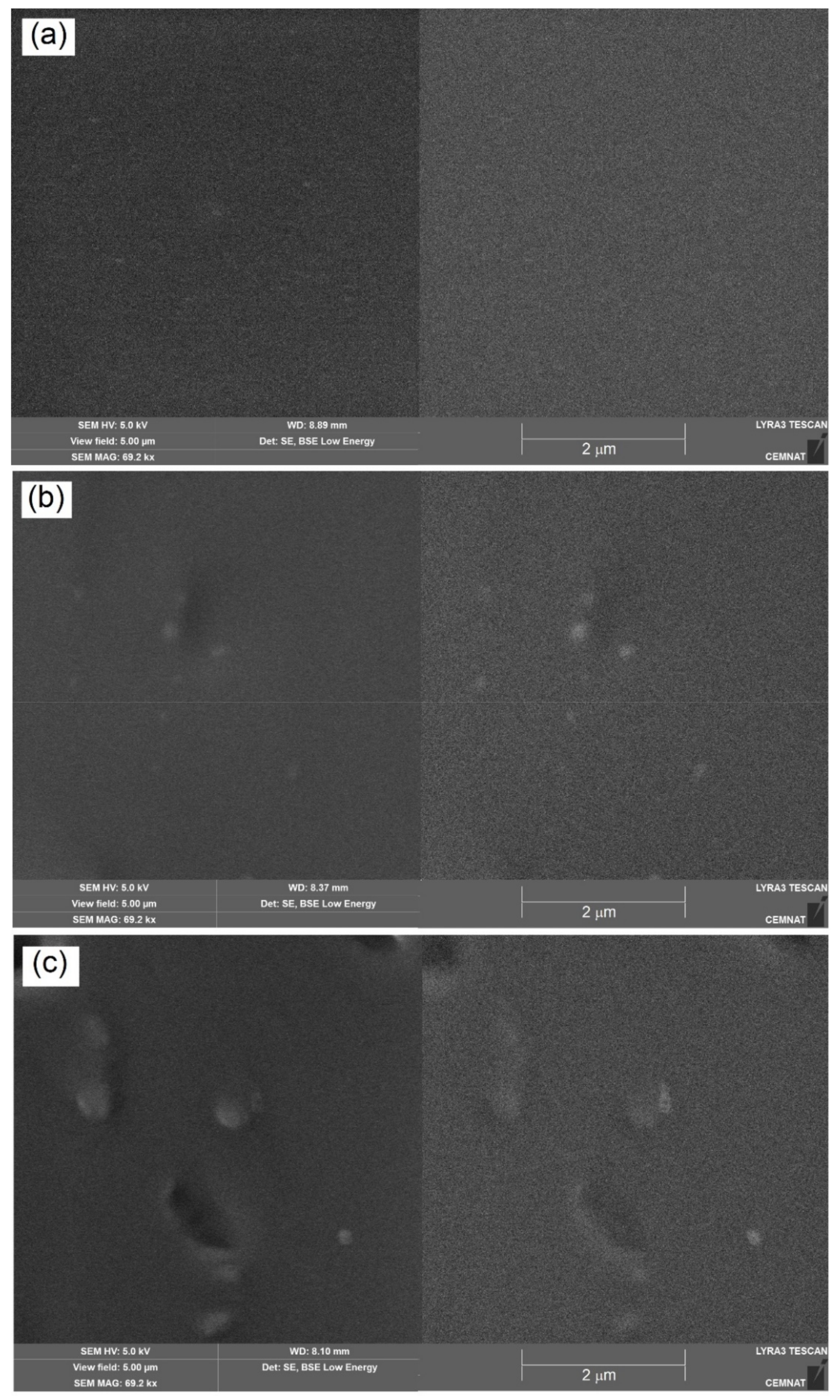 Coatings 11 00347 g004
