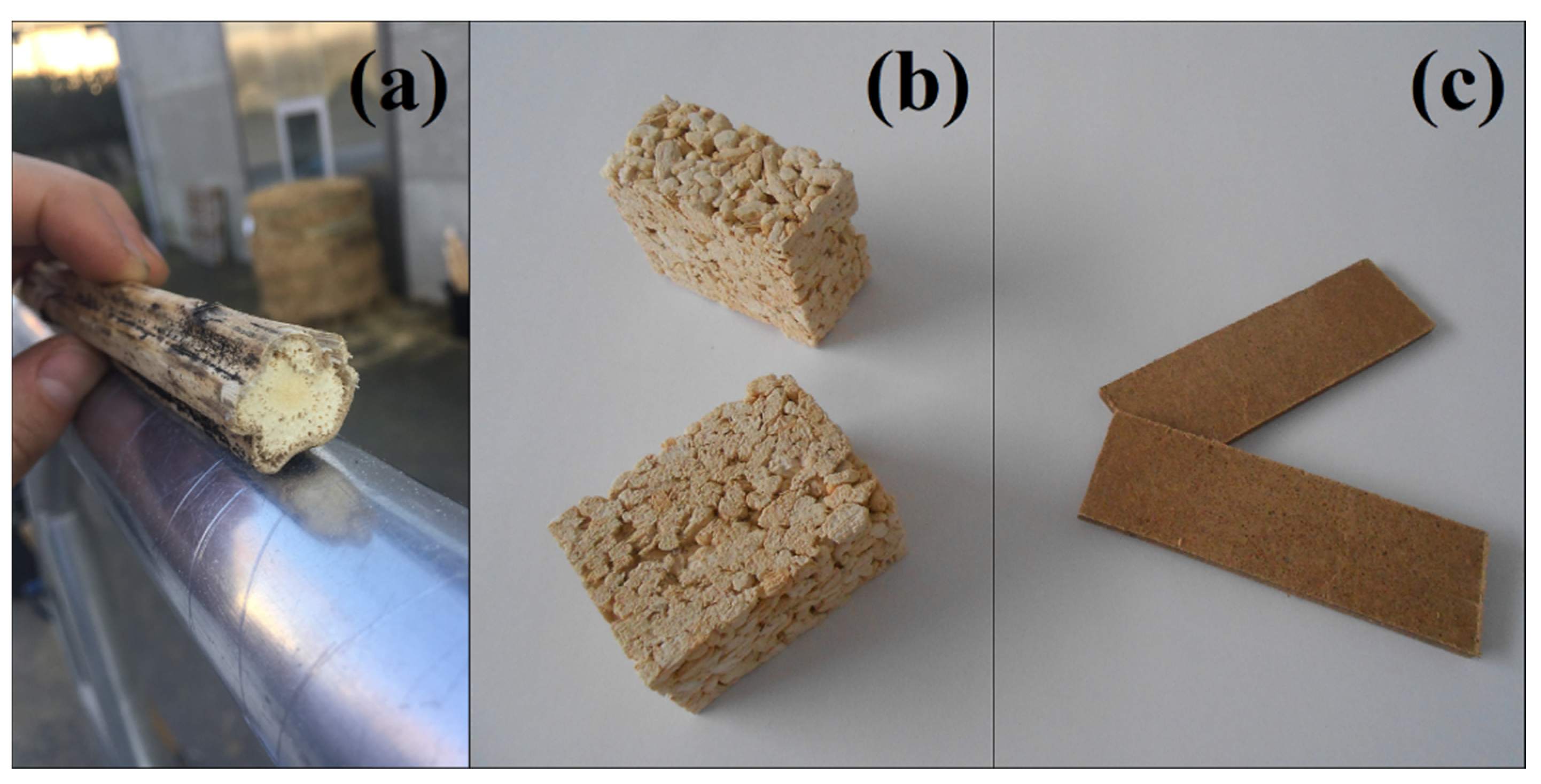 Coatings 11 00349 g002