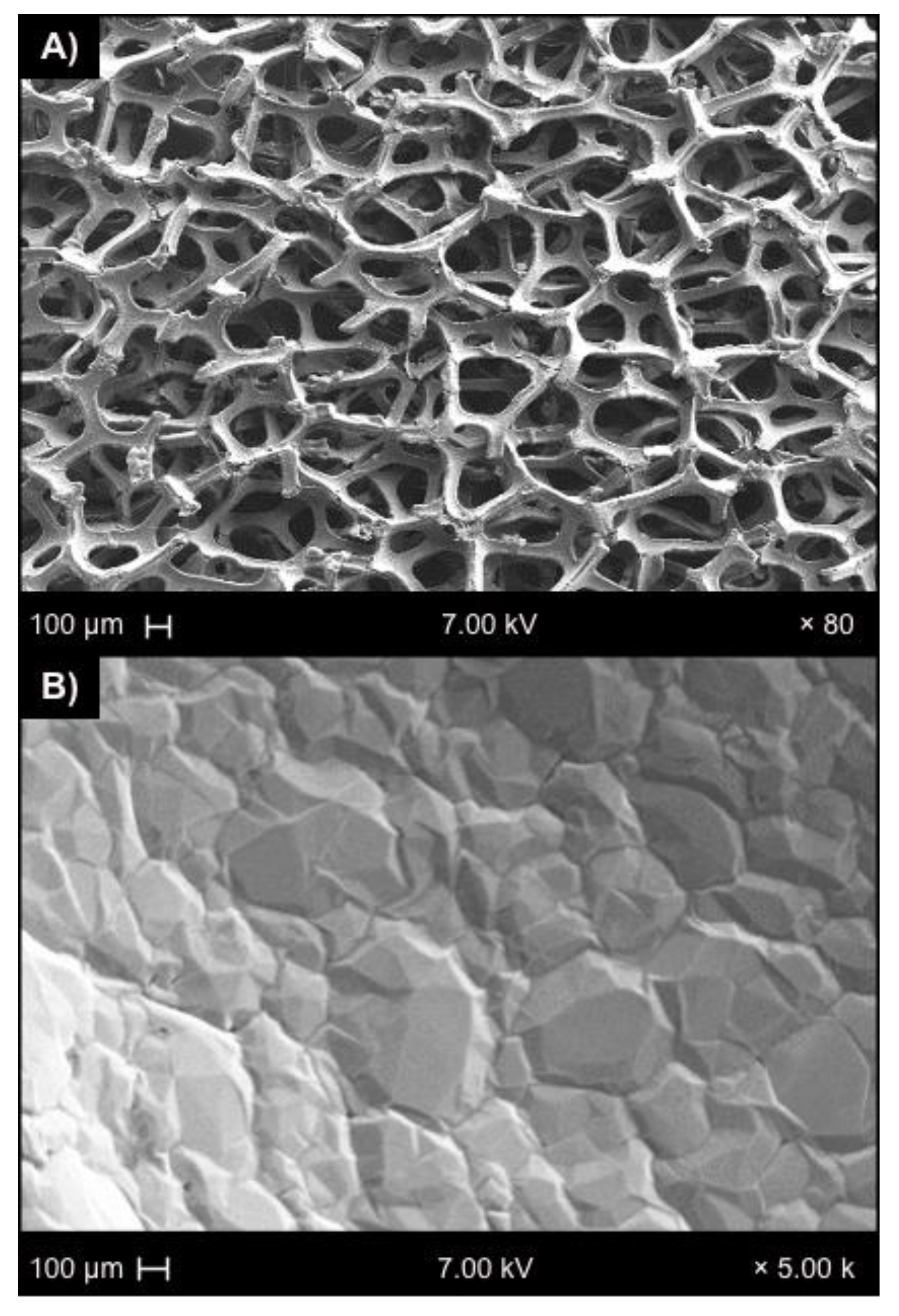 Coatings 11 00352 g005 Coatings 11 00352 g005