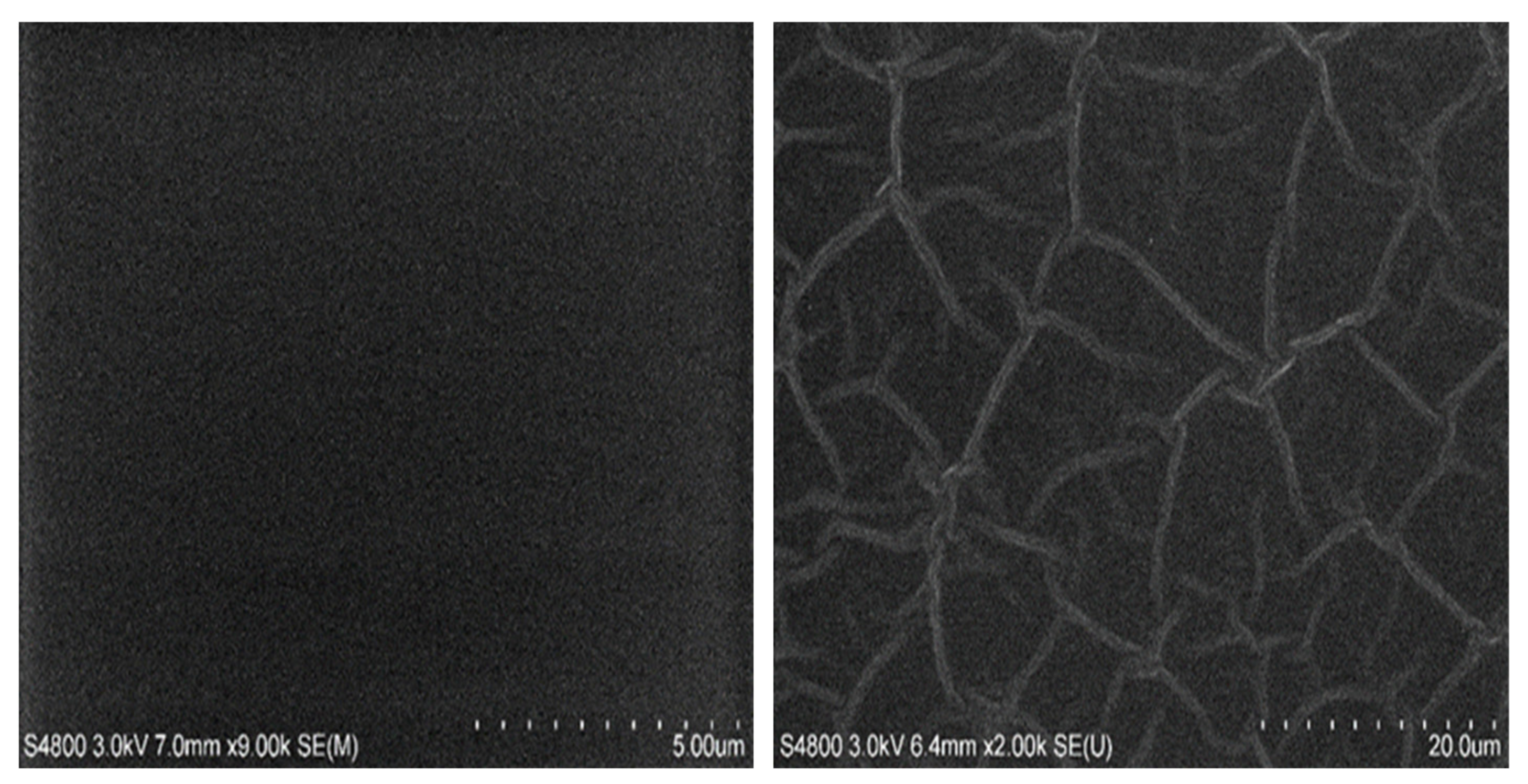Coatings 11 00355 g003
