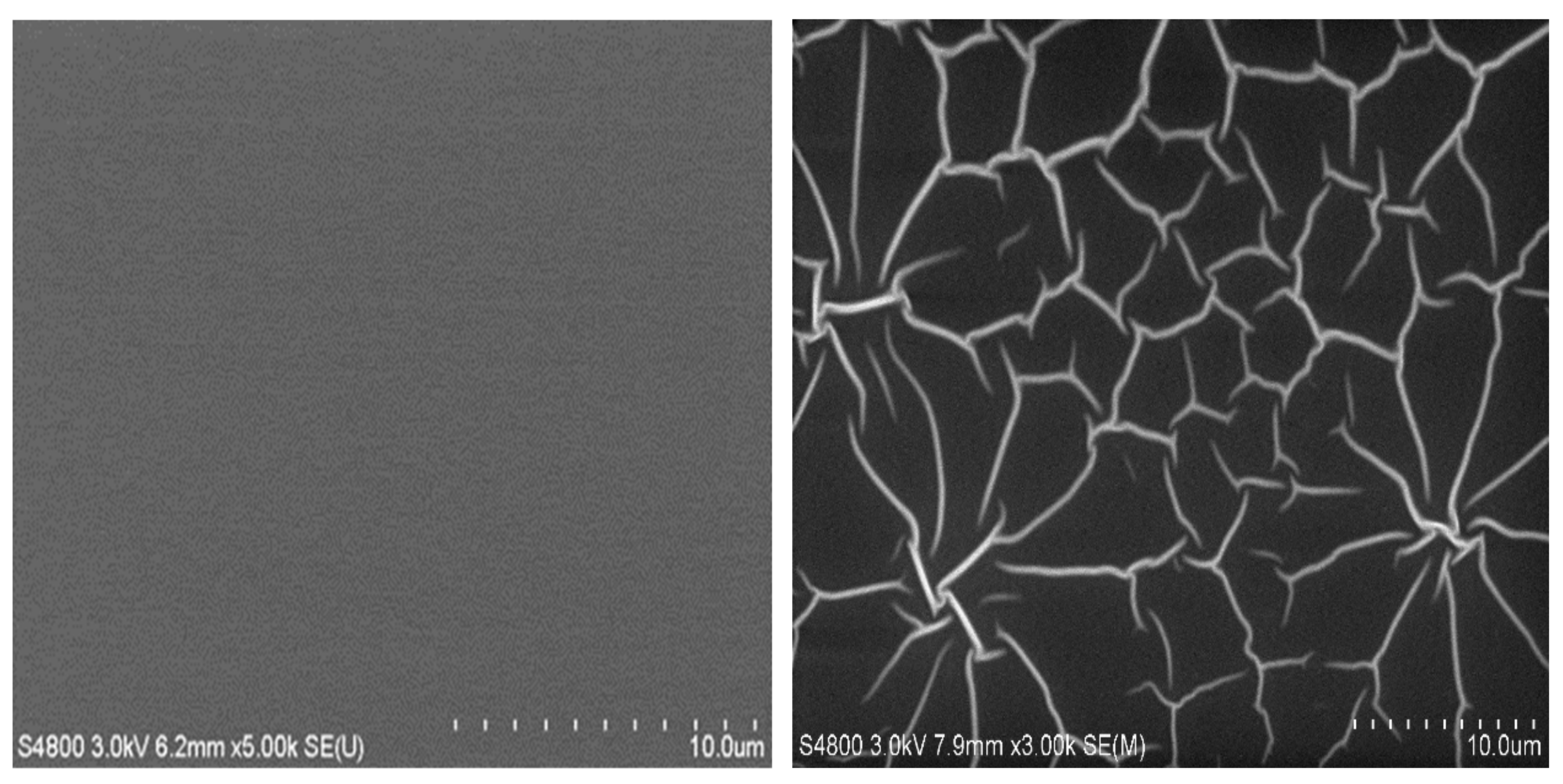 Coatings 11 00355 g004