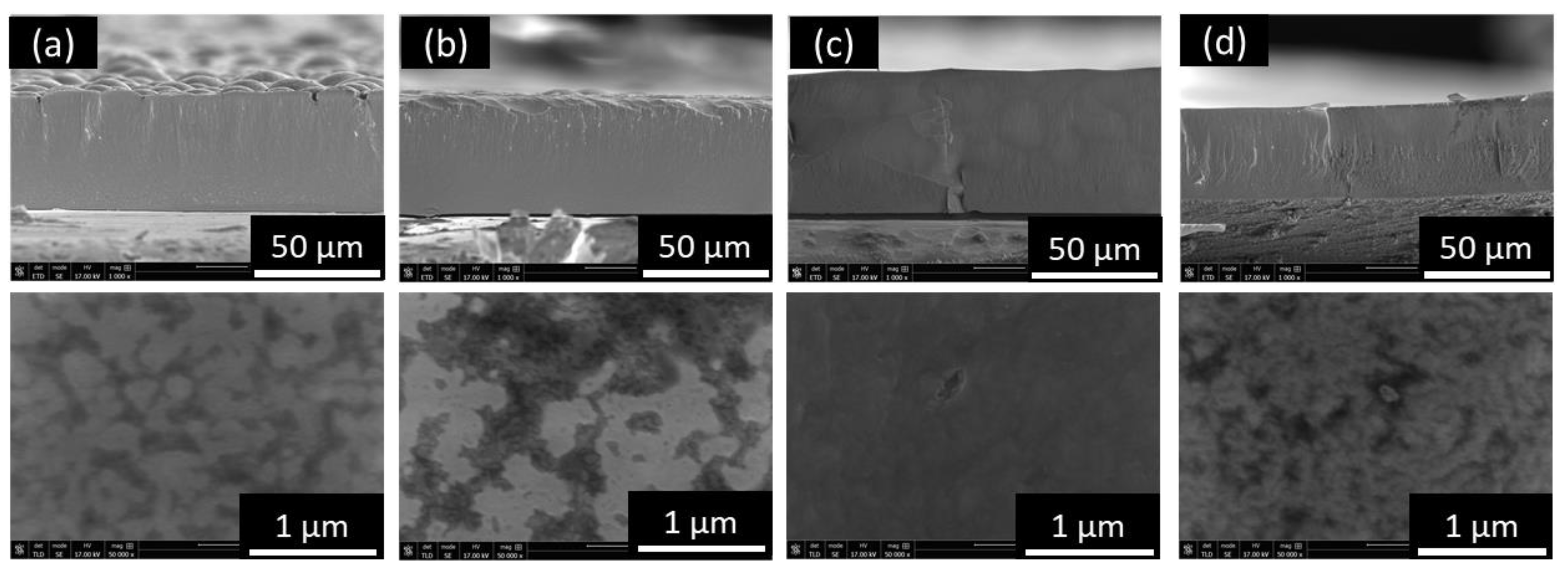 Coatings 11 00356 g001 Coatings 11 00356 g001