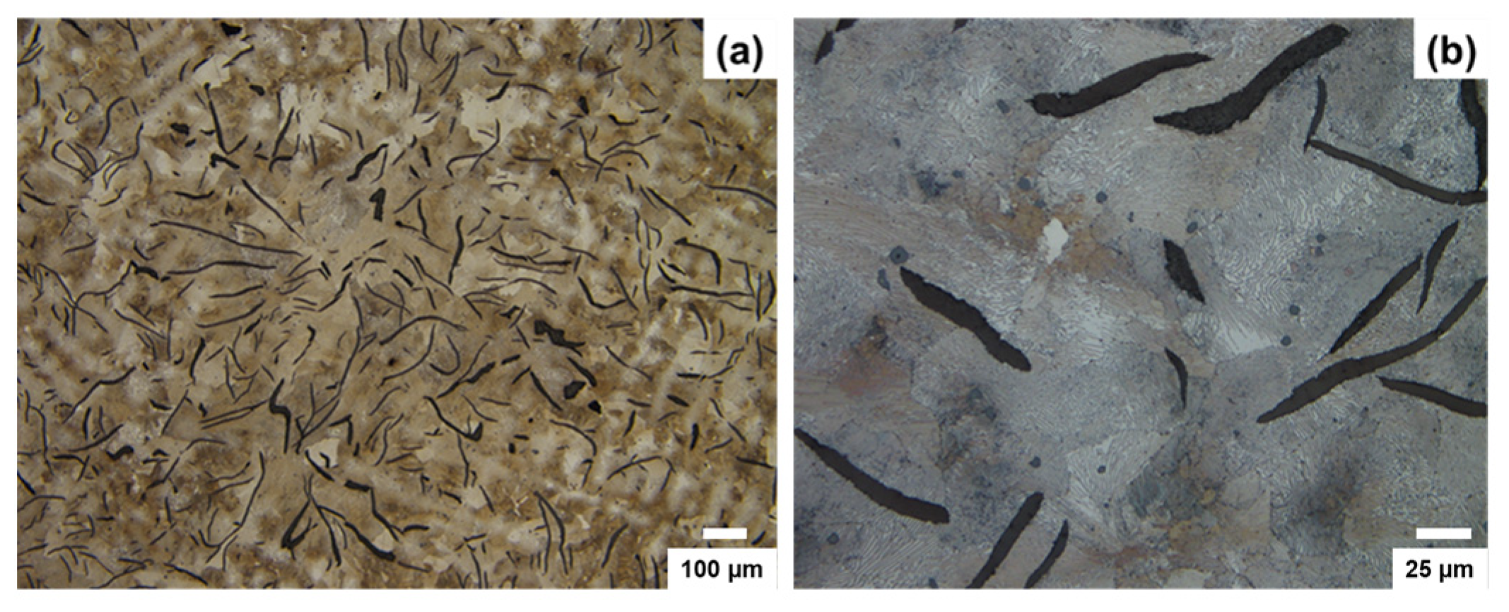 Coatings 11 00357 g001
