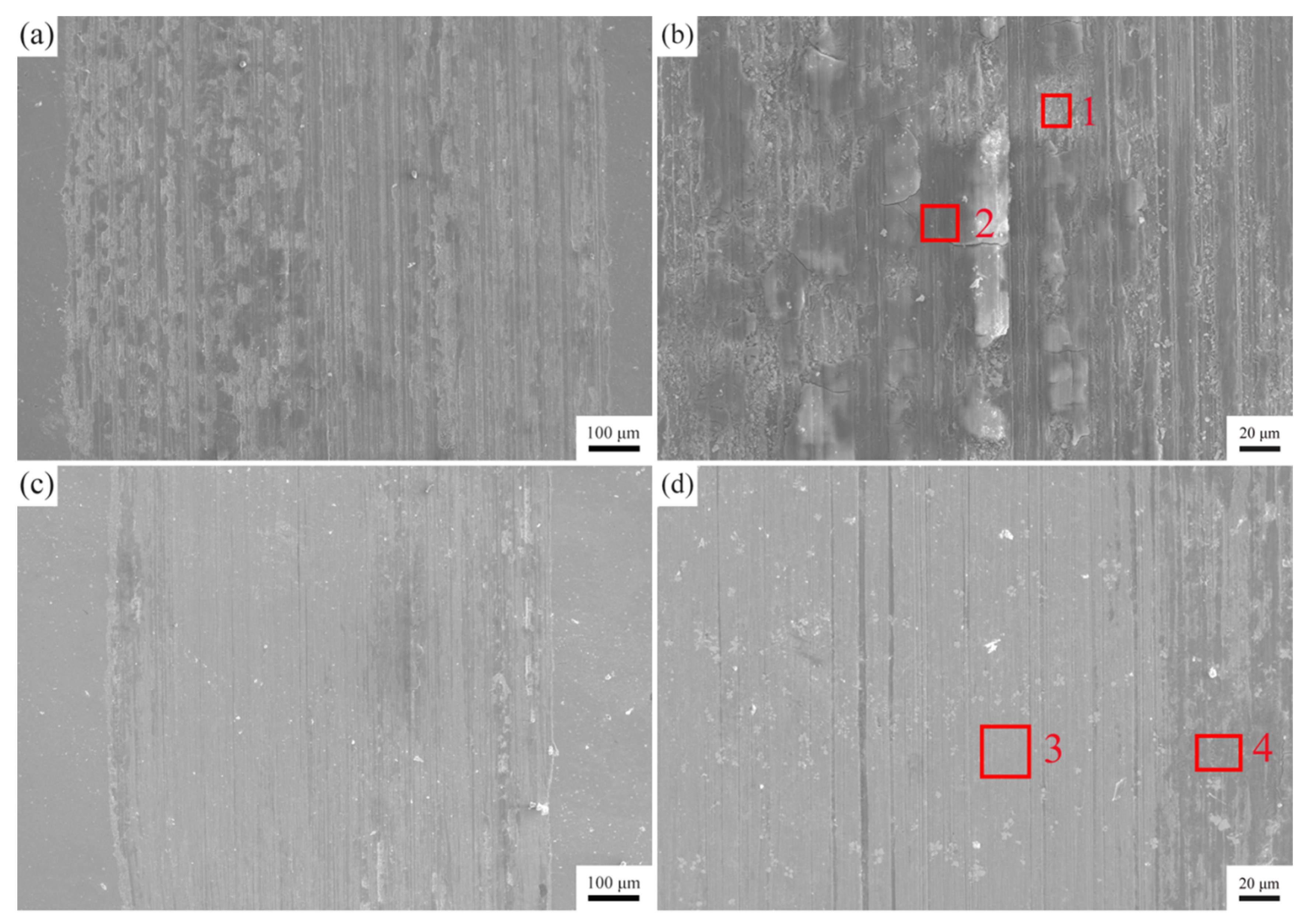 Coatings 11 00358 g007