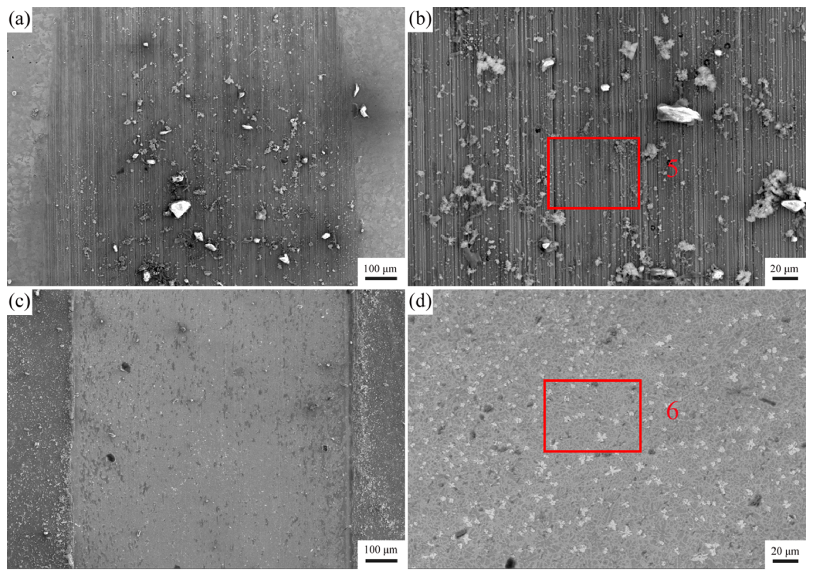 Coatings 11 00358 g011