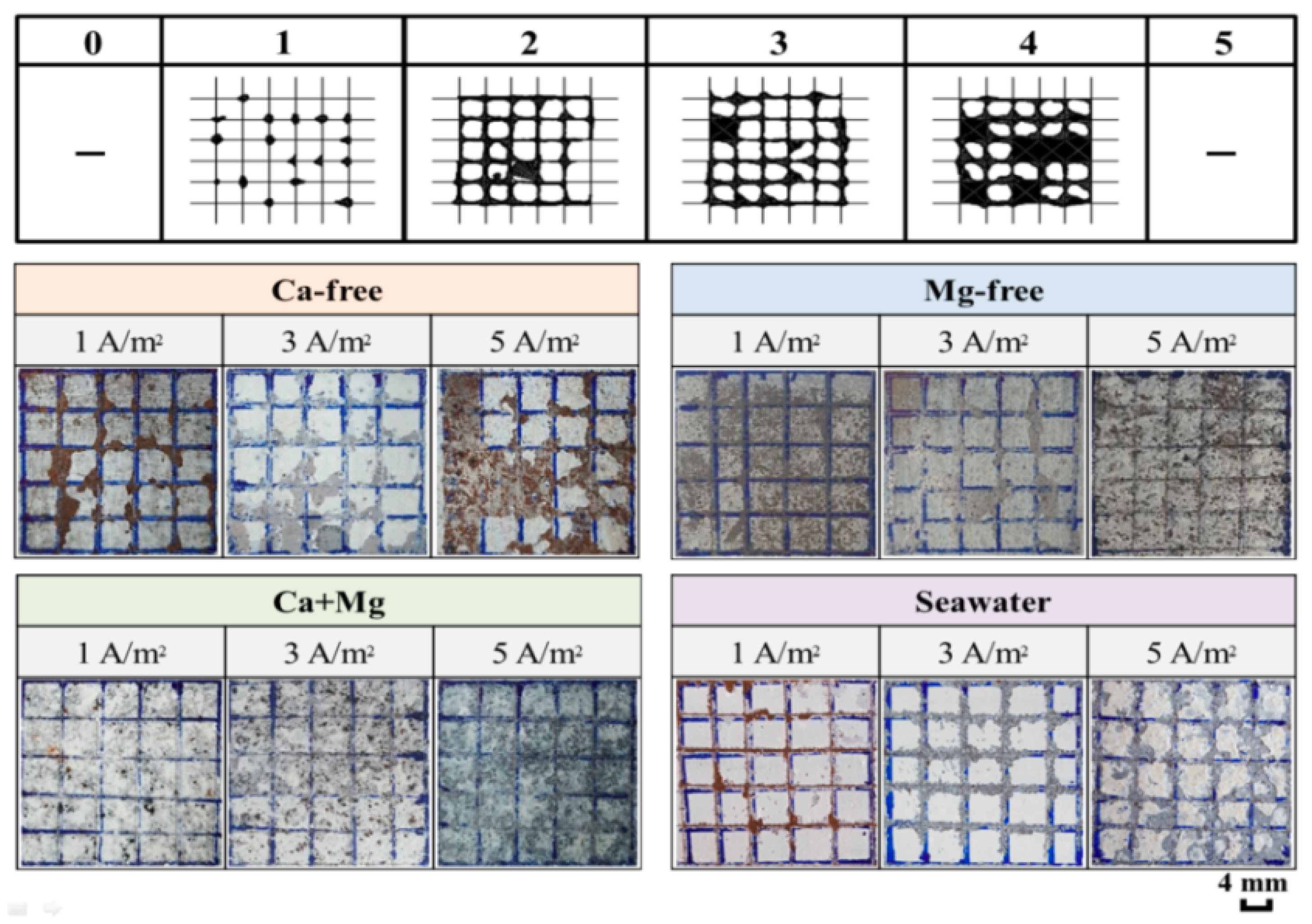 Coatings 11 00359 g007 Coatings 11 00359 g007