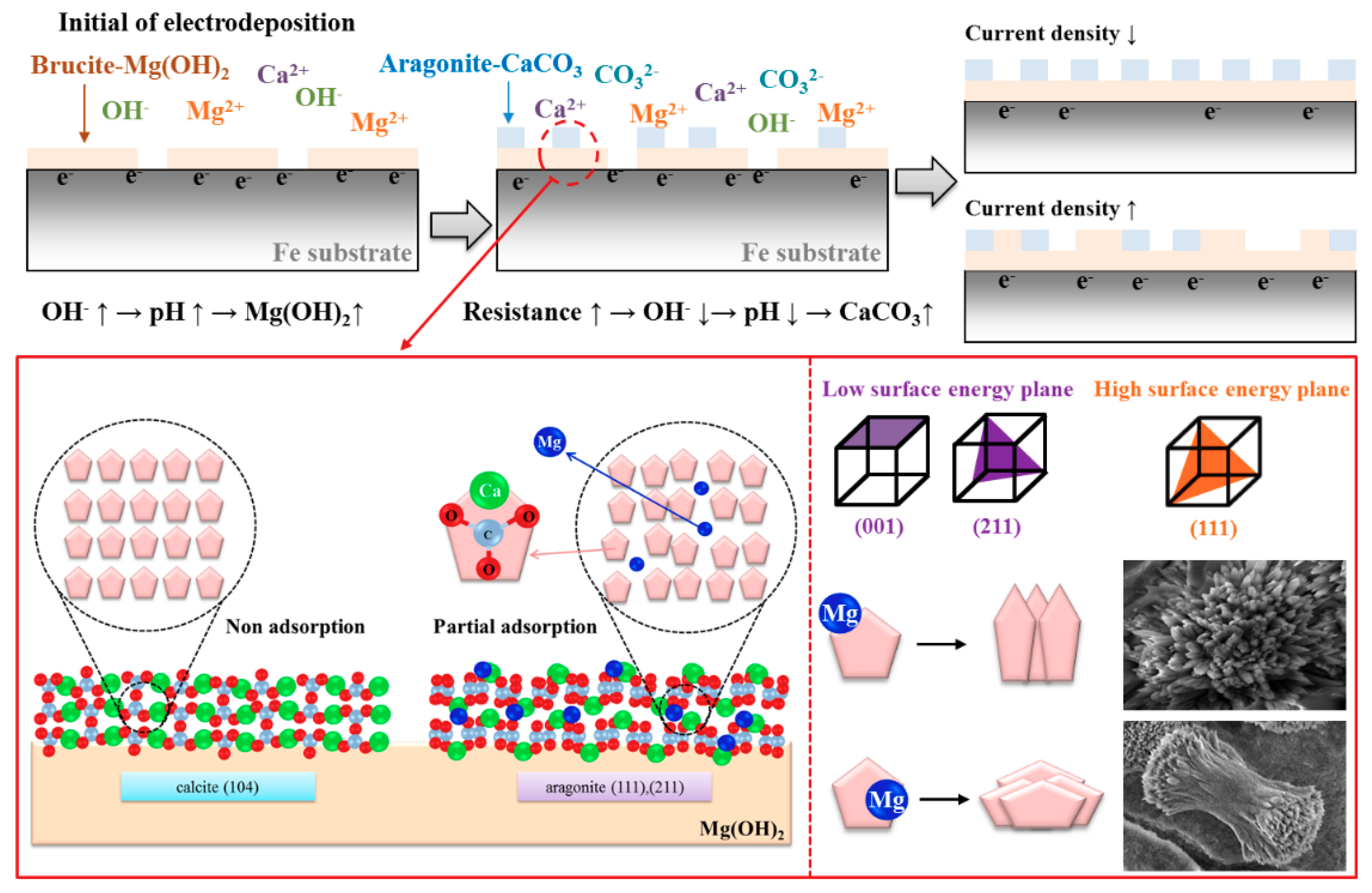 Coatings 11 00359 g008 Coatings 11 00359 g008