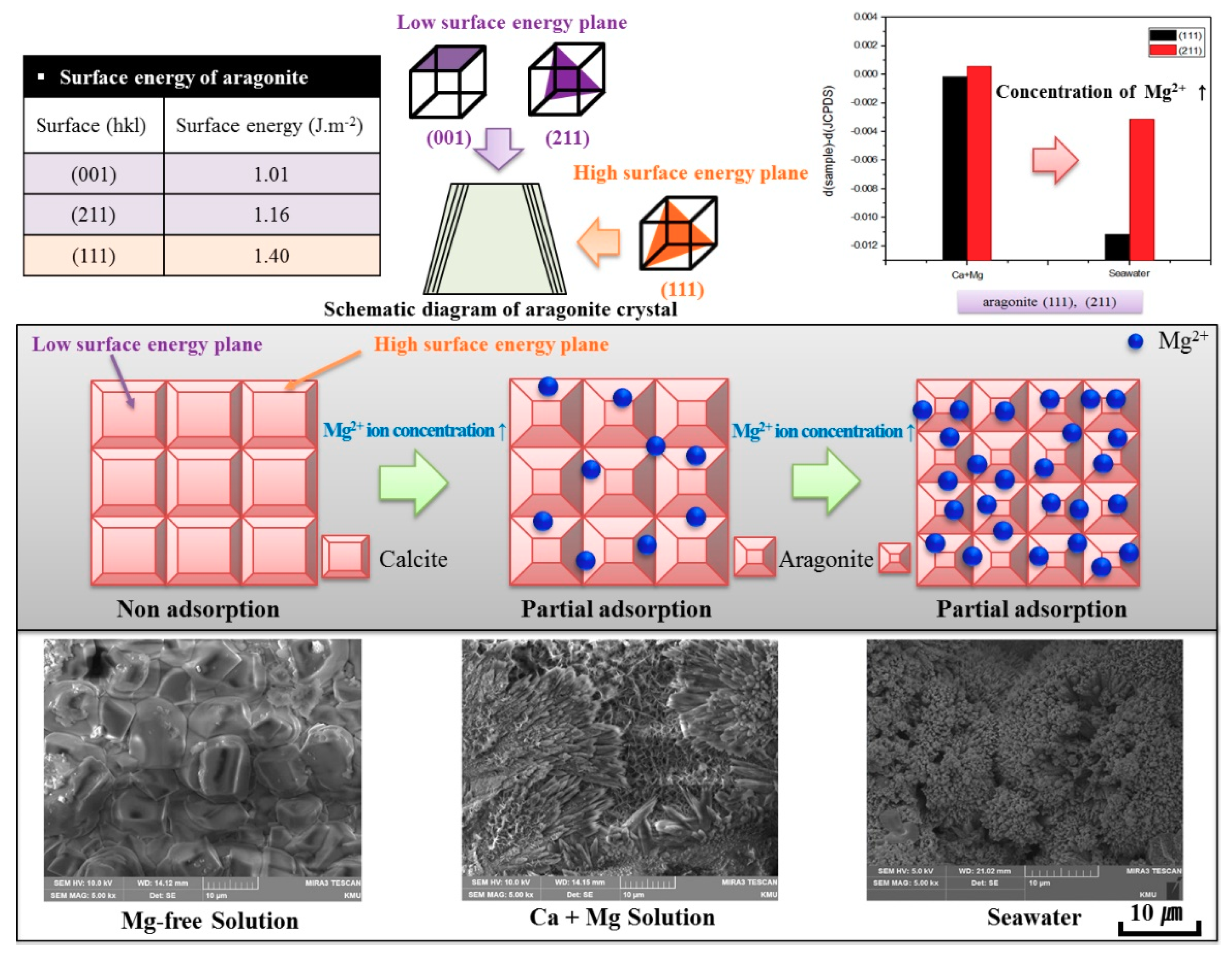 Coatings 11 00359 g009 Coatings 11 00359 g009