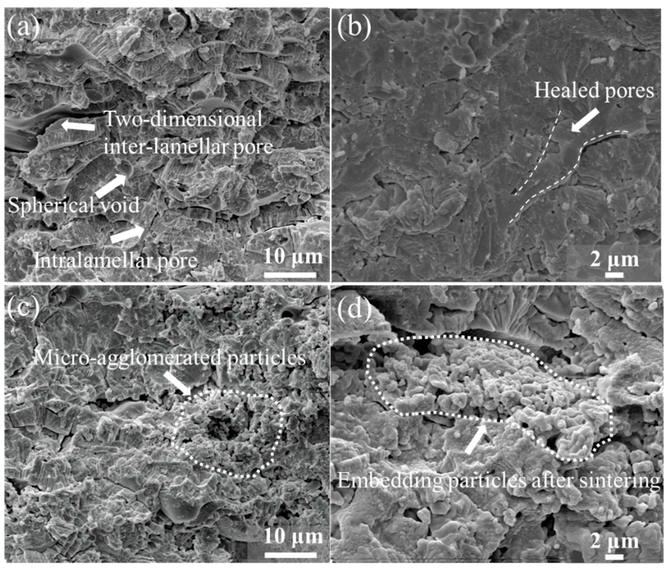 Coatings 11 00360 g007 Coatings 11 00360 g007
