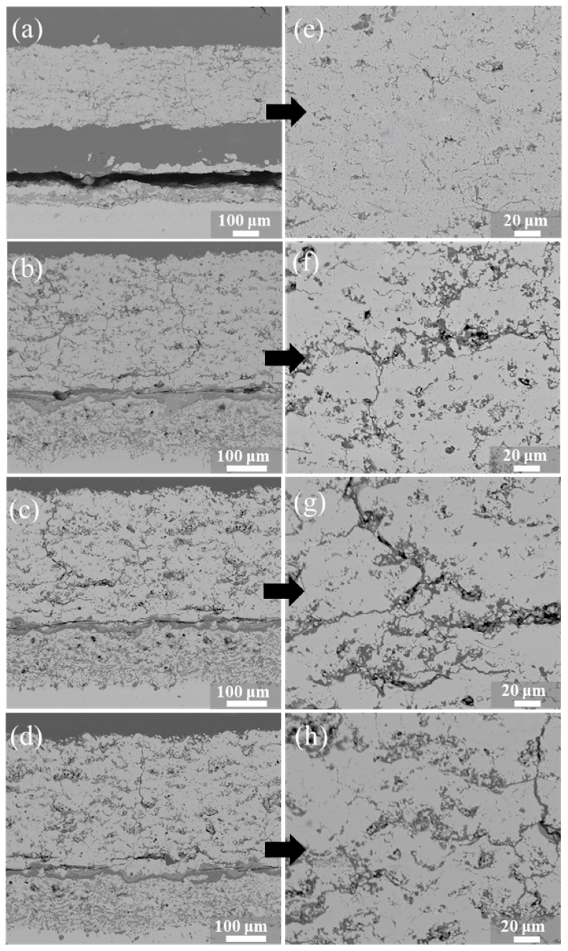 Coatings 11 00360 g013 Coatings 11 00360 g013
