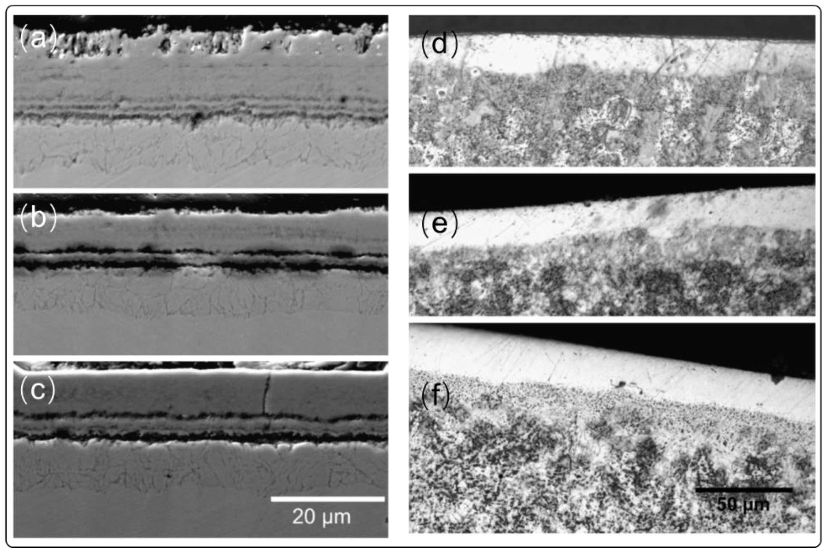 Coatings 11 00364 g006 Coatings 11 00364 g006