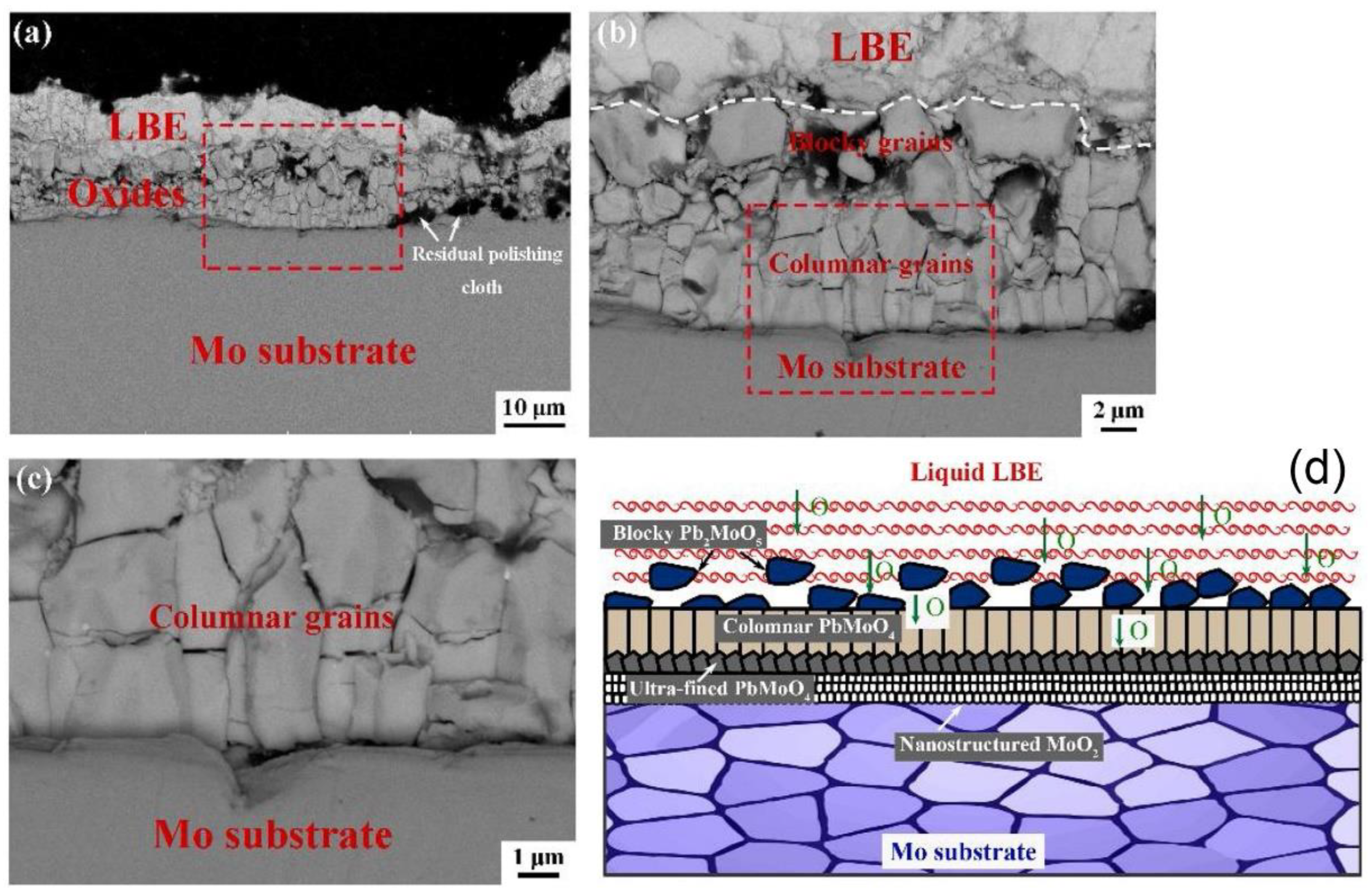 Coatings 11 00364 g008 Coatings 11 00364 g008