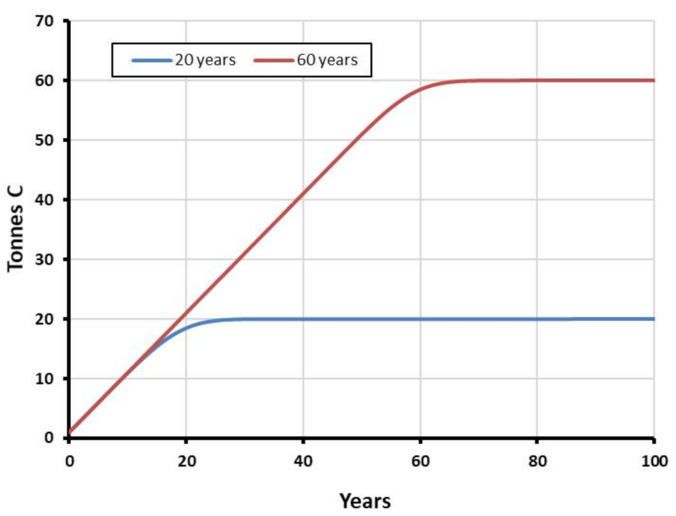 Coatings 11 00366 g003