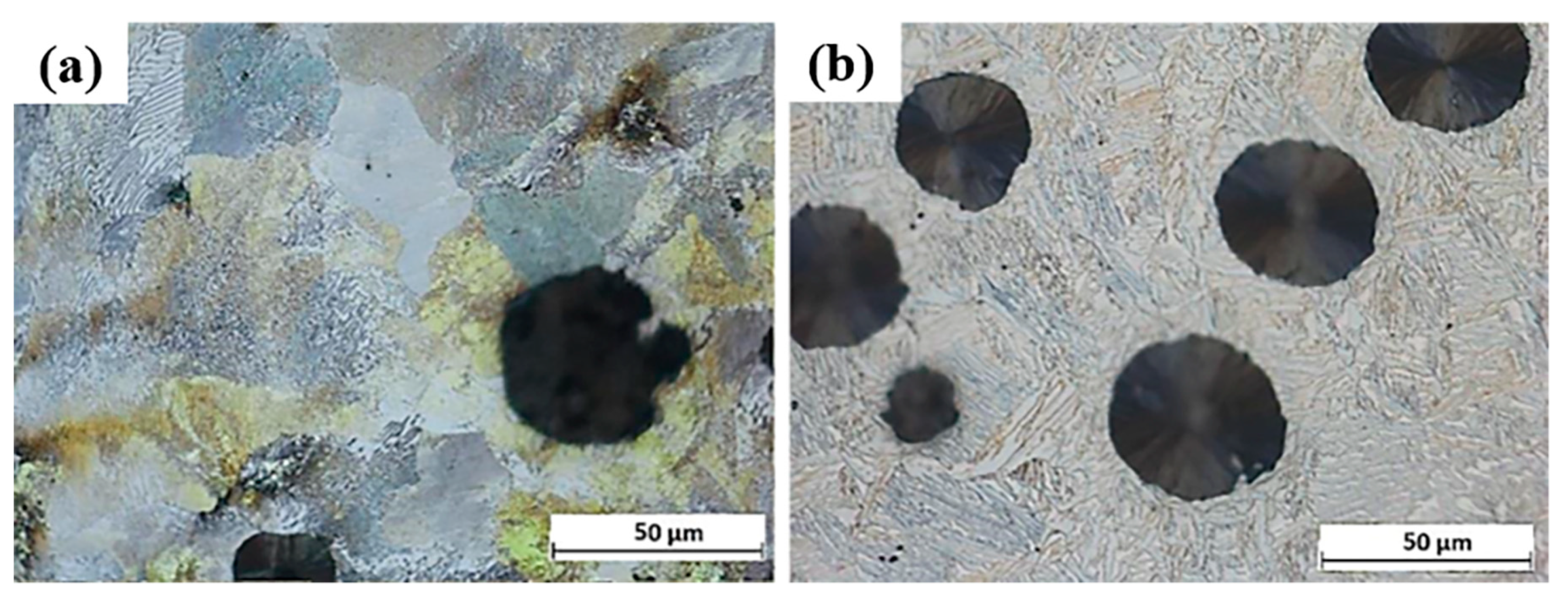 Coatings 11 00368 g004
