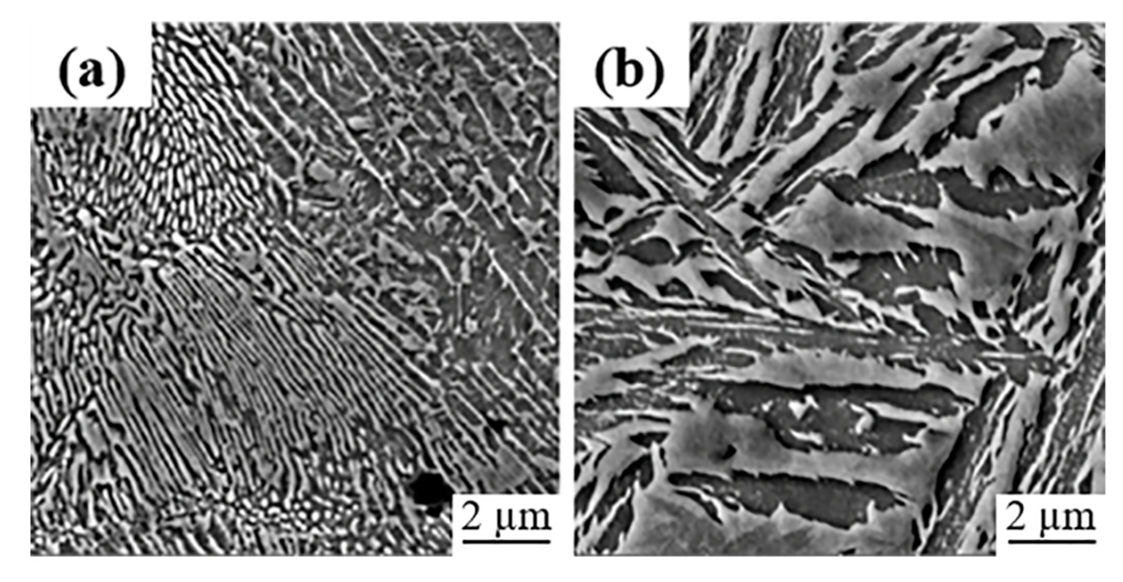 Coatings 11 00368 g007