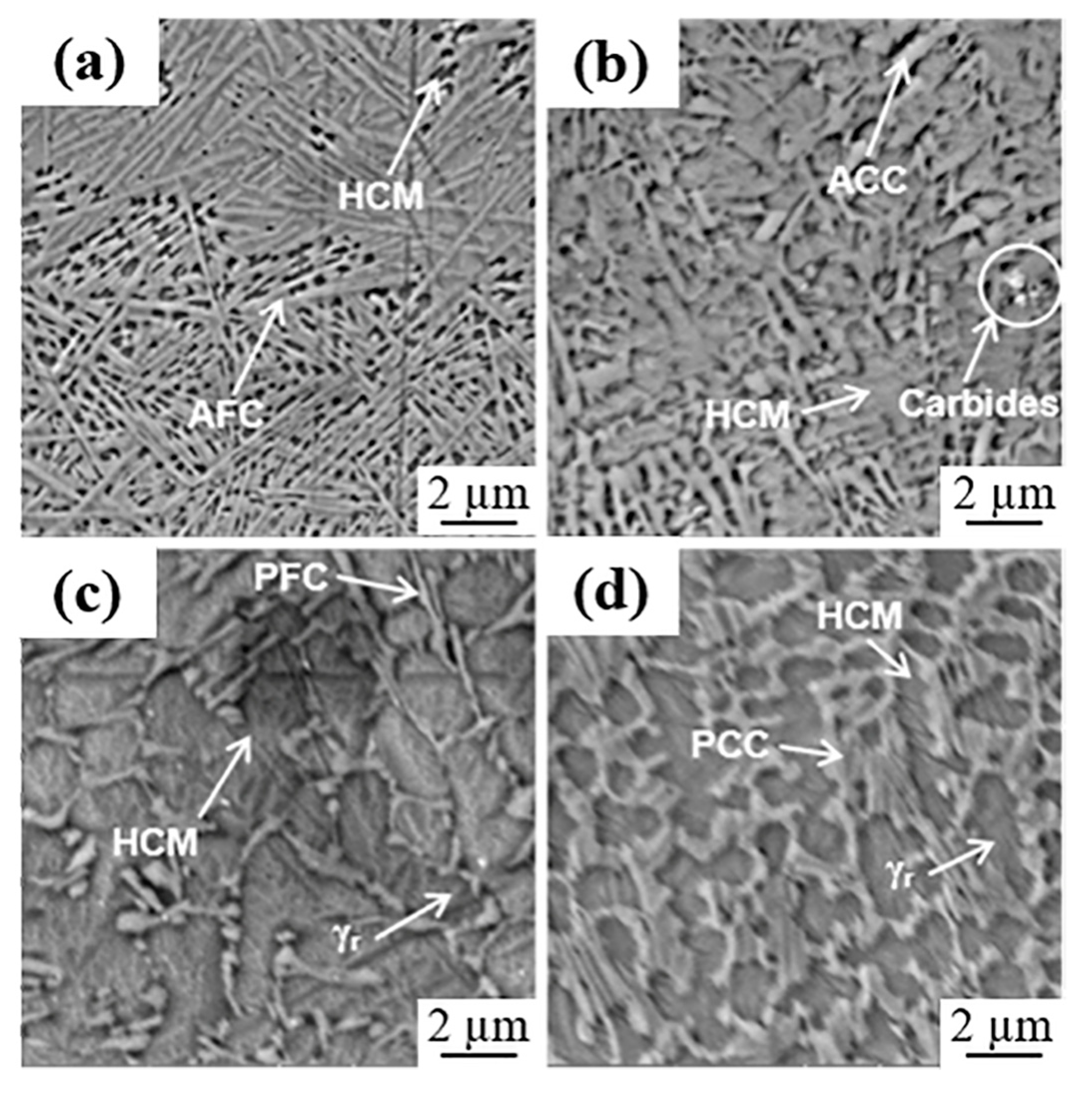 Coatings 11 00368 g008