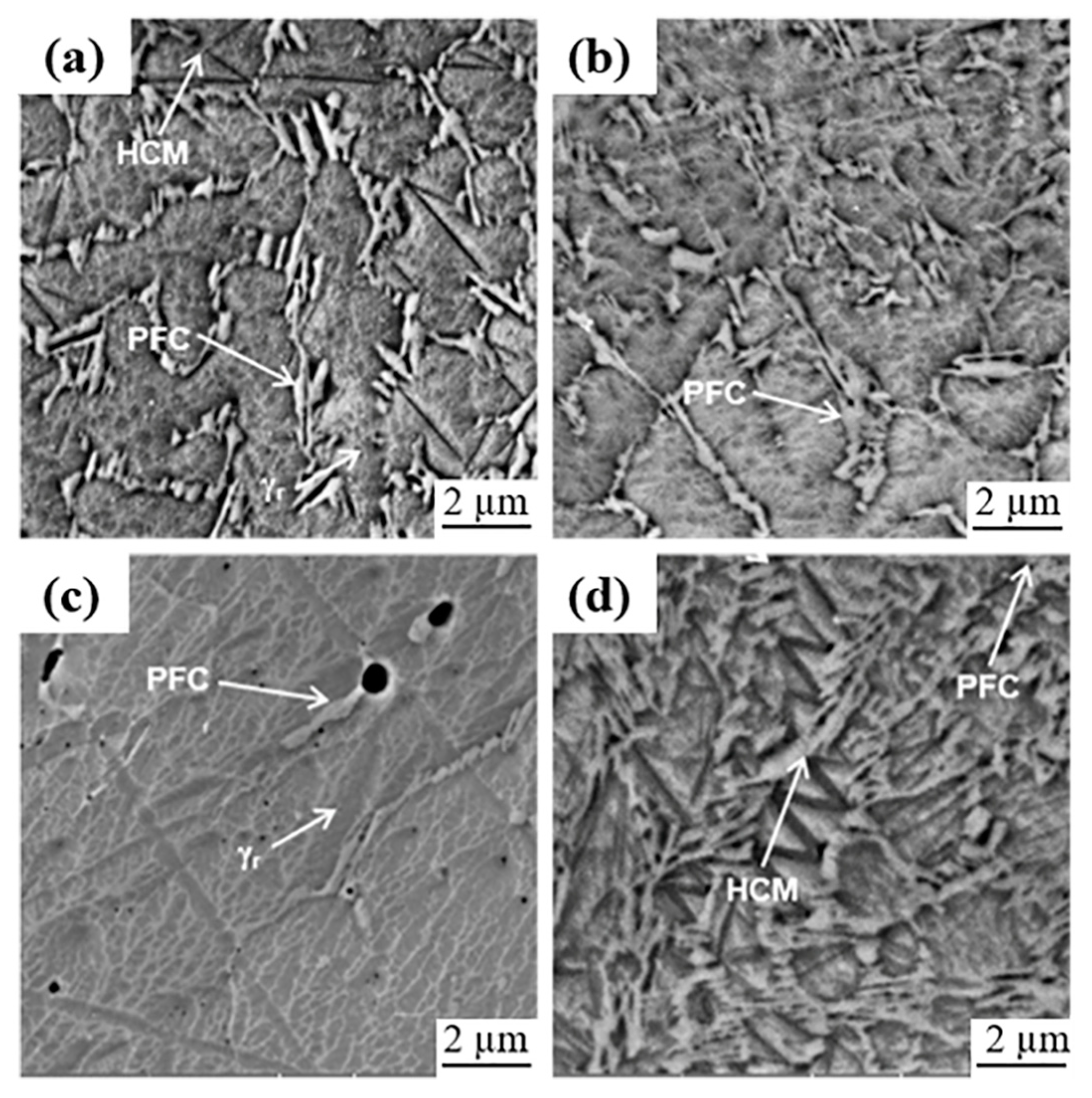 Coatings 11 00368 g010