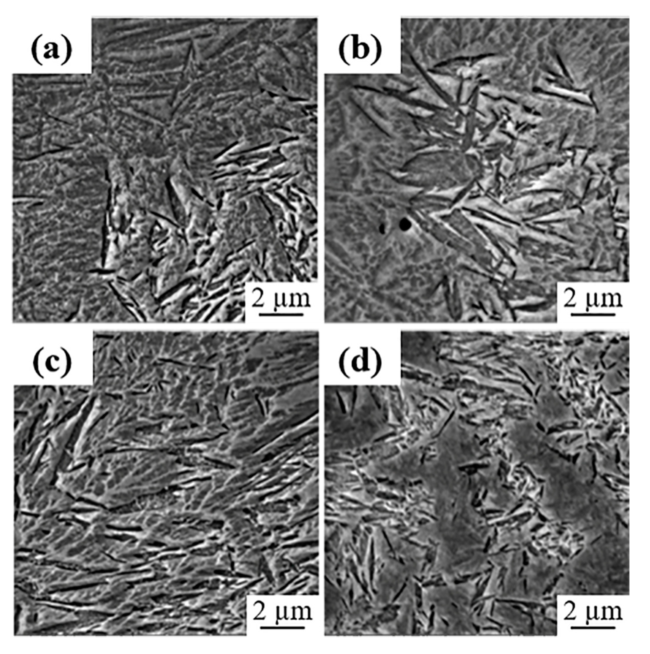 Coatings 11 00368 g011
