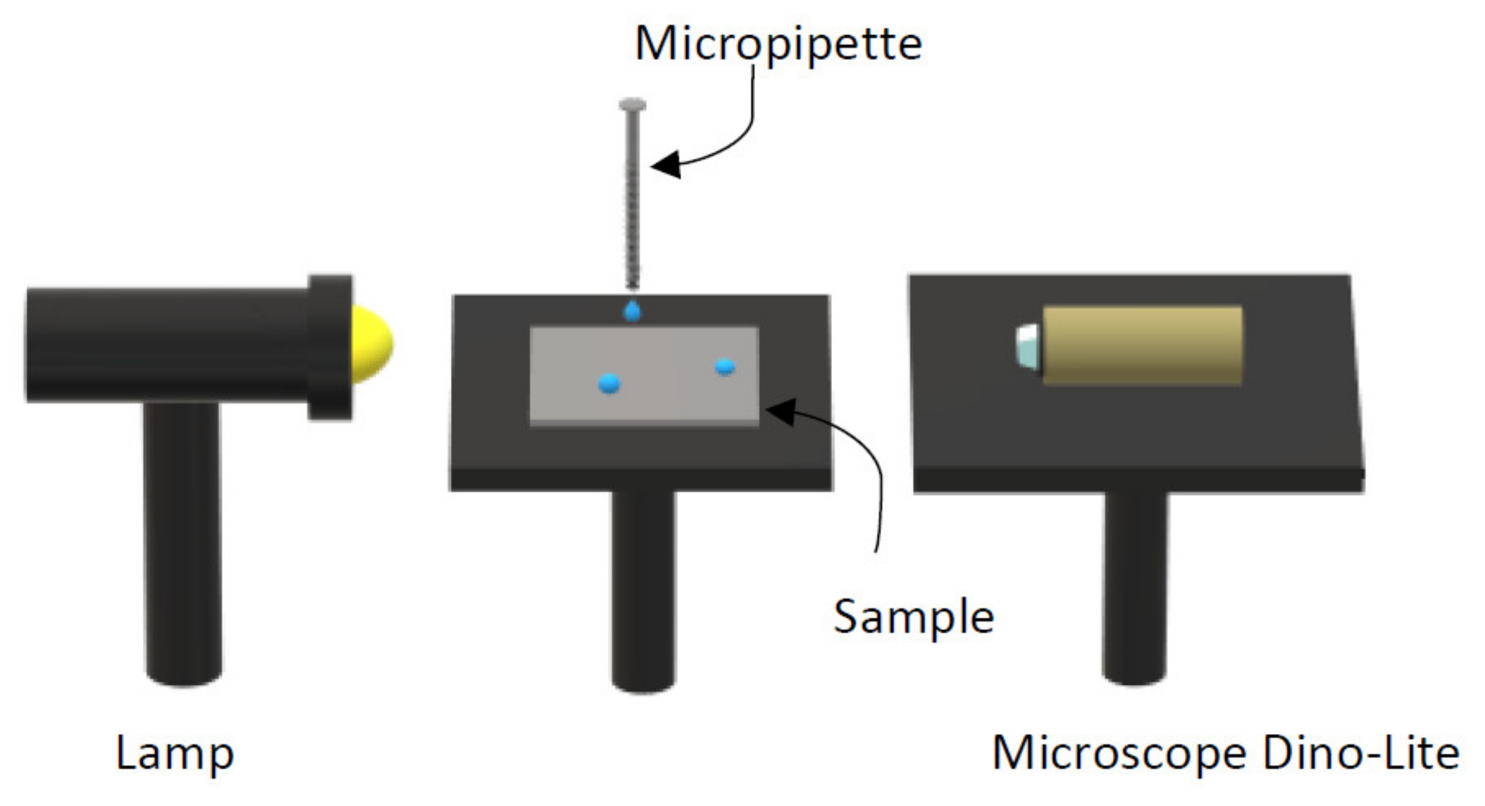 Coatings 11 00369 g002