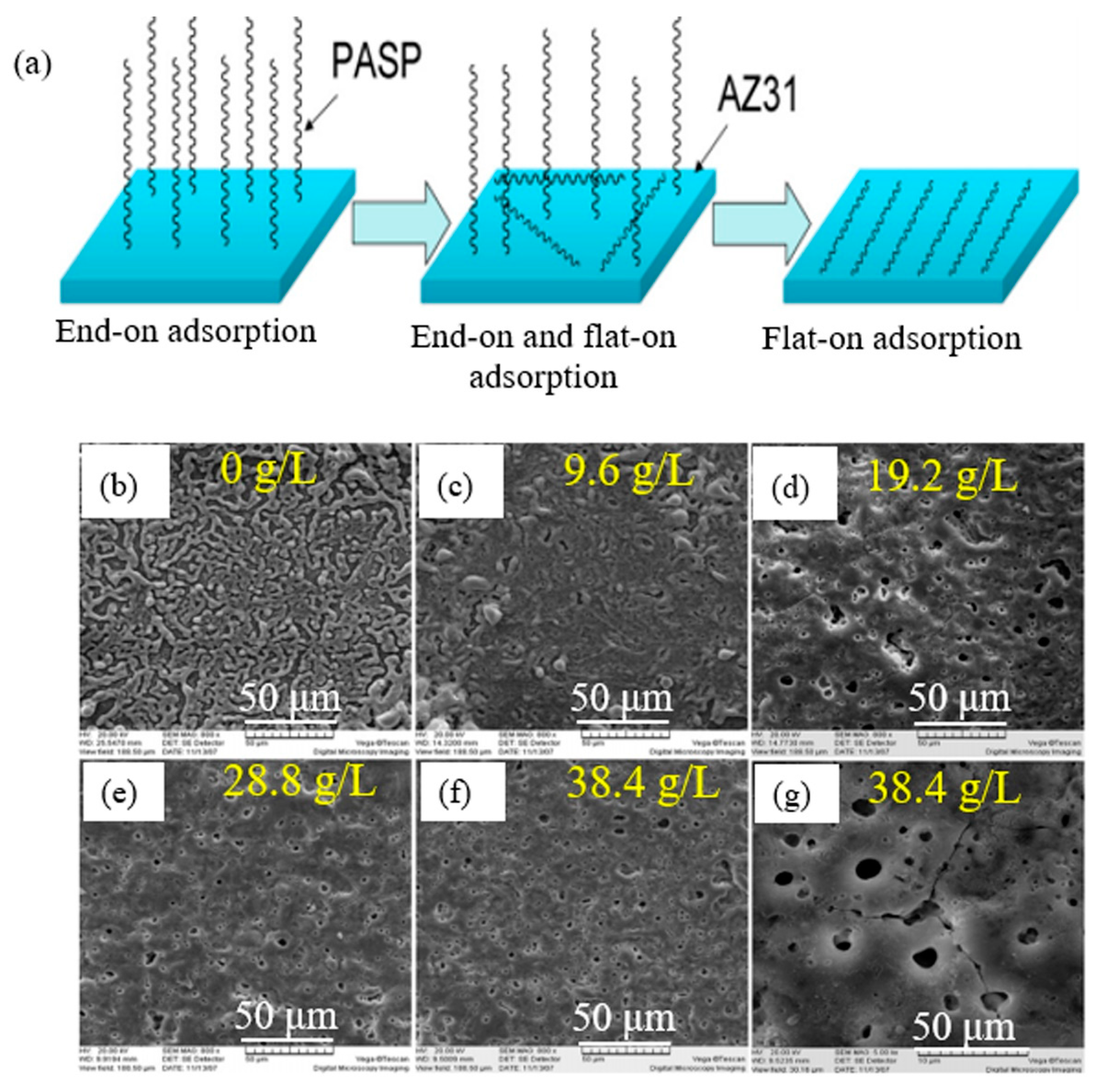 Coatings 11 00374 g005 Coatings 11 00374 g005
